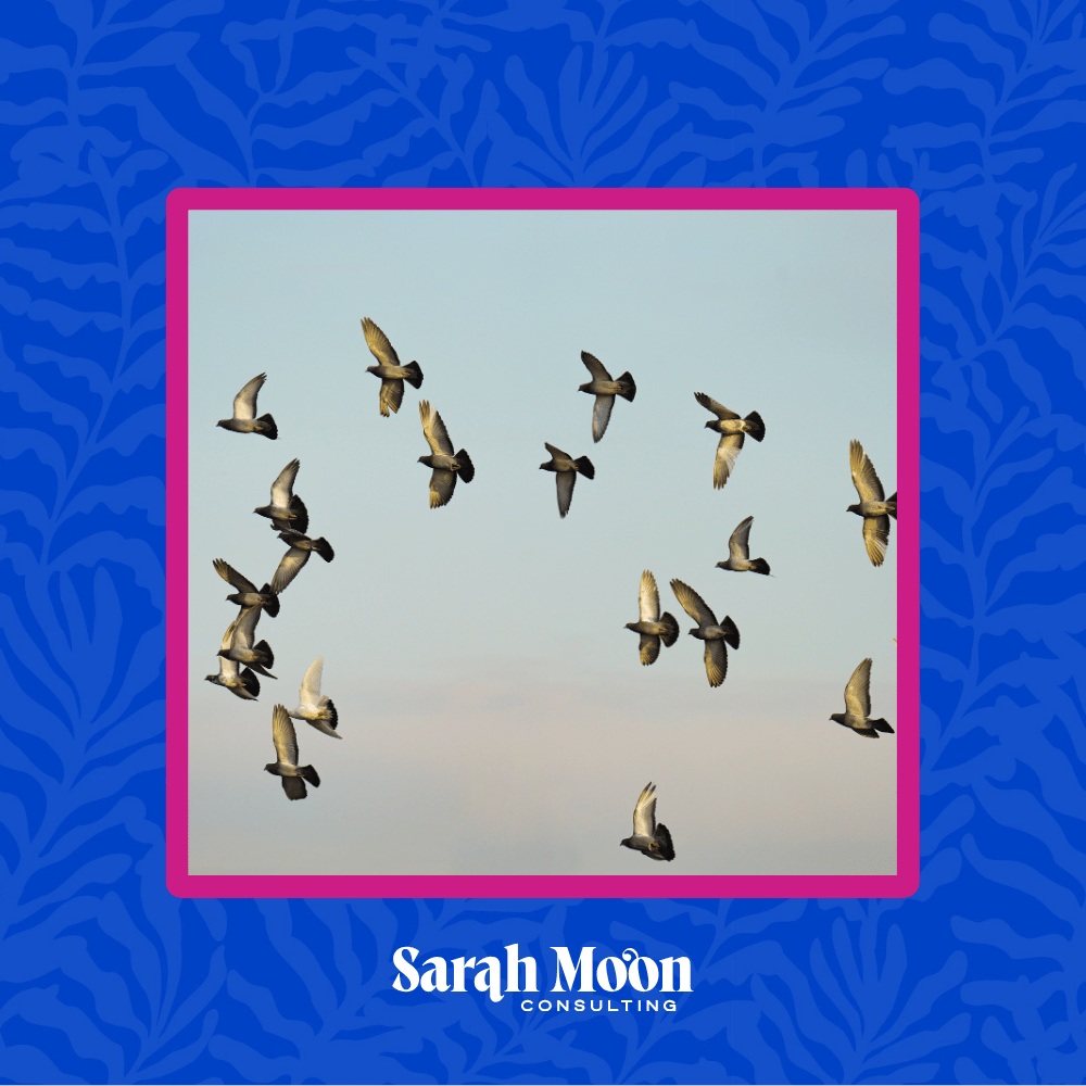 The Complete Guide to Start Your Email Marketing Program (with top platform recommendations)