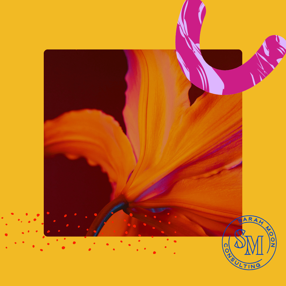 Lead Magnets for Consultants: What Works, What Doesn’t, and Can’t-Miss Examples.