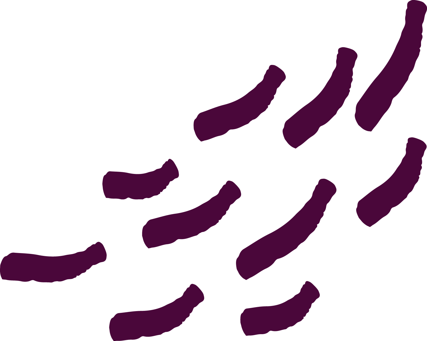 Illustration of purple bacteria lines