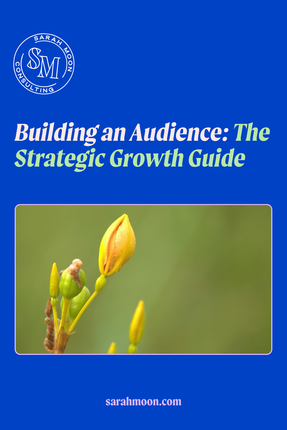 Blue rectangle with flower buds the text reads, "Building an Audience: The Strategic Growth Guide"