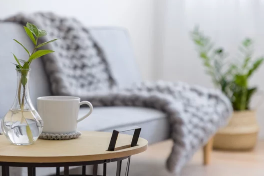 Cozy living room with a light blue sofa, a blanket, a small round side table with a white coffee mug, a glass vase with green leaves, and a potted plant in the background.