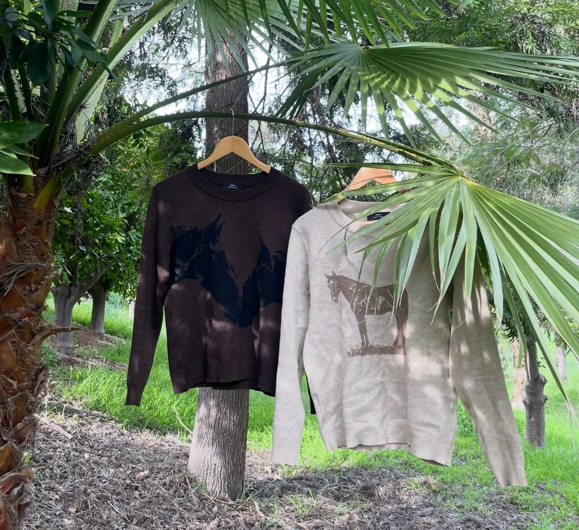 Two sweatshirts with horse graphics hanging on a tree branch outdoors among green foliage and palm leaves.
