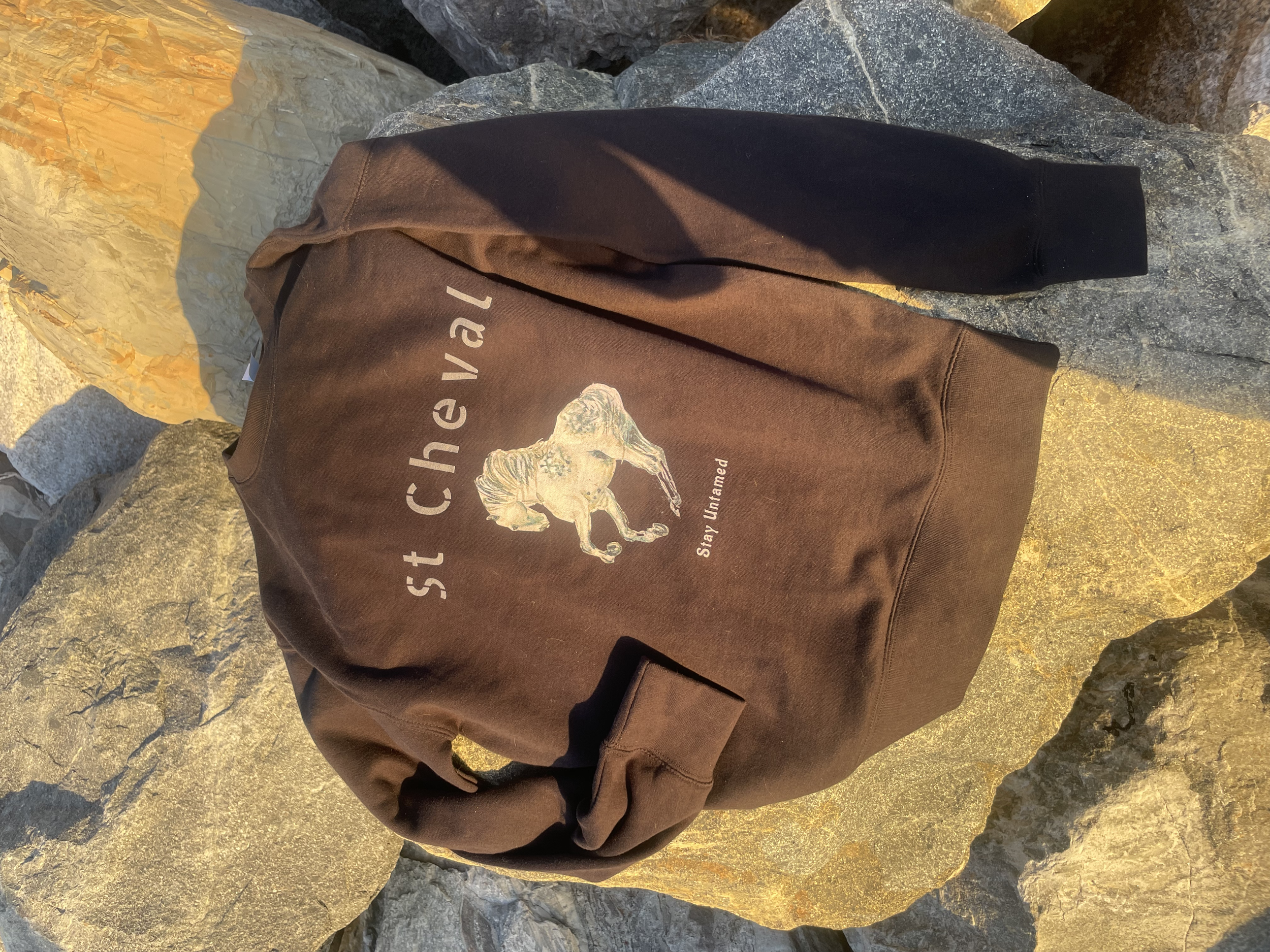 Brown hoodie with a horse graphic and the words "st** the veil" and "Stay Untamed," placed on rocks outdoors.