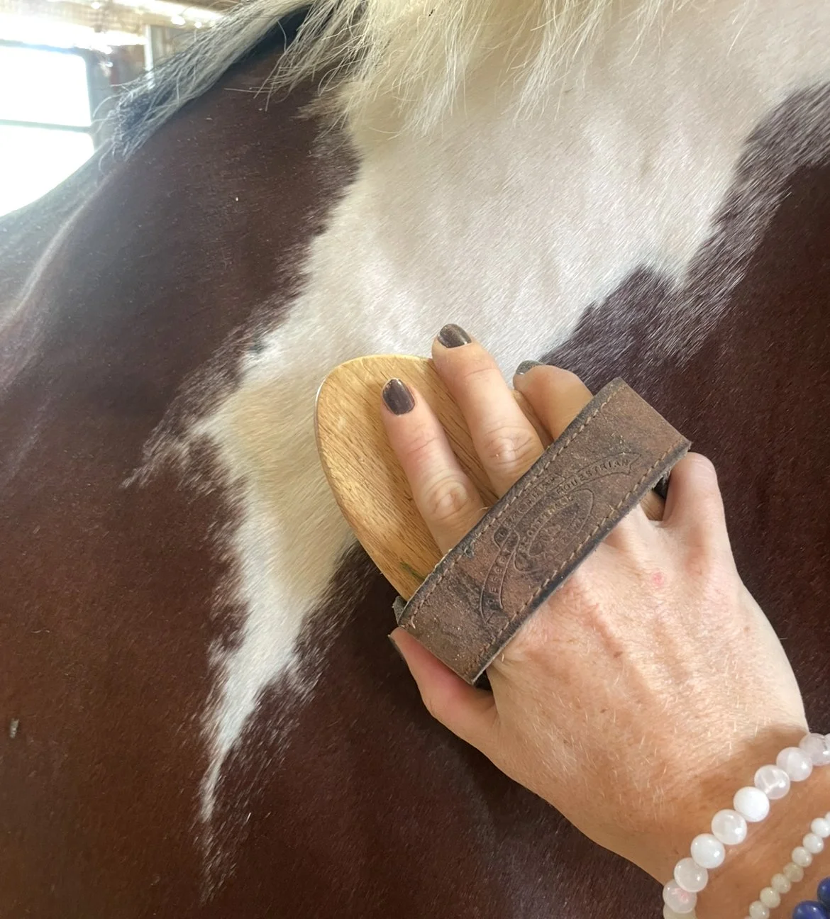 A person grooming a horse with a wooden curry comb, focusing on the horse's brown and white coat.