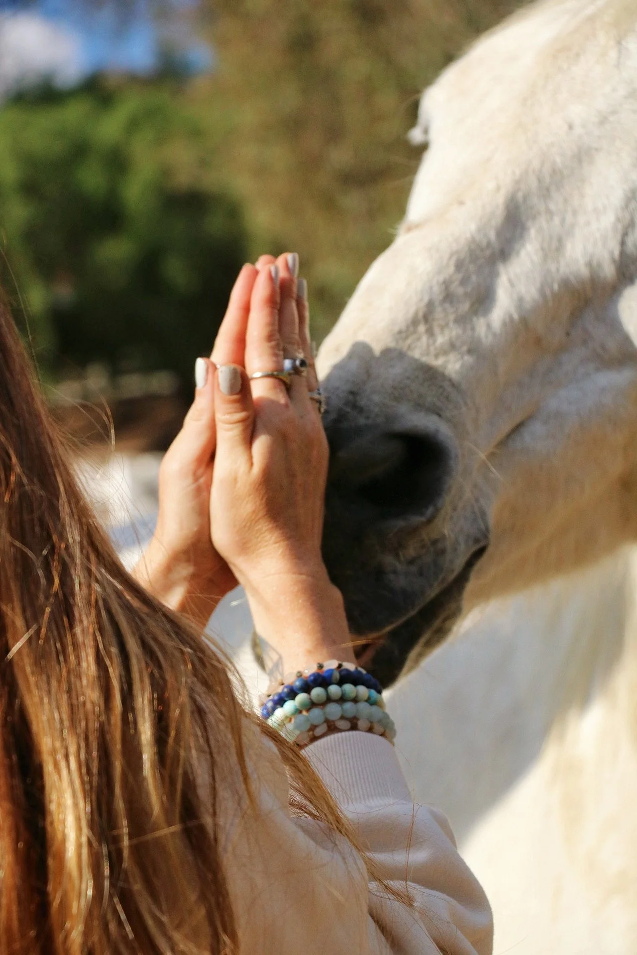 A person with long reddish-brown hair, wearing a white long-sleeve shirt and multiple beaded bracelets, is pressing their hands together in a prayer position near the nose of a white horse outdoors with greenery in the background.