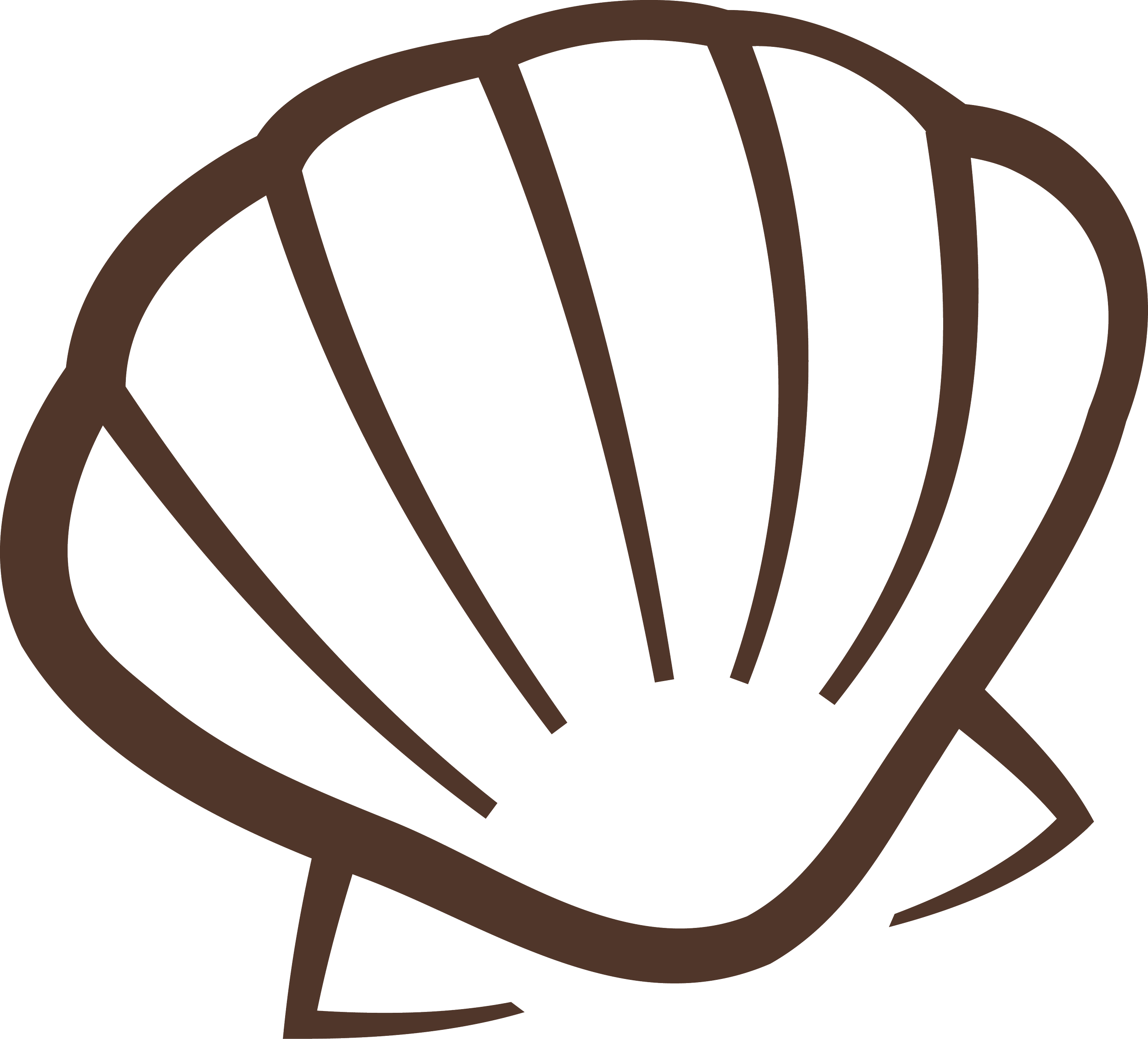 custom shell icon