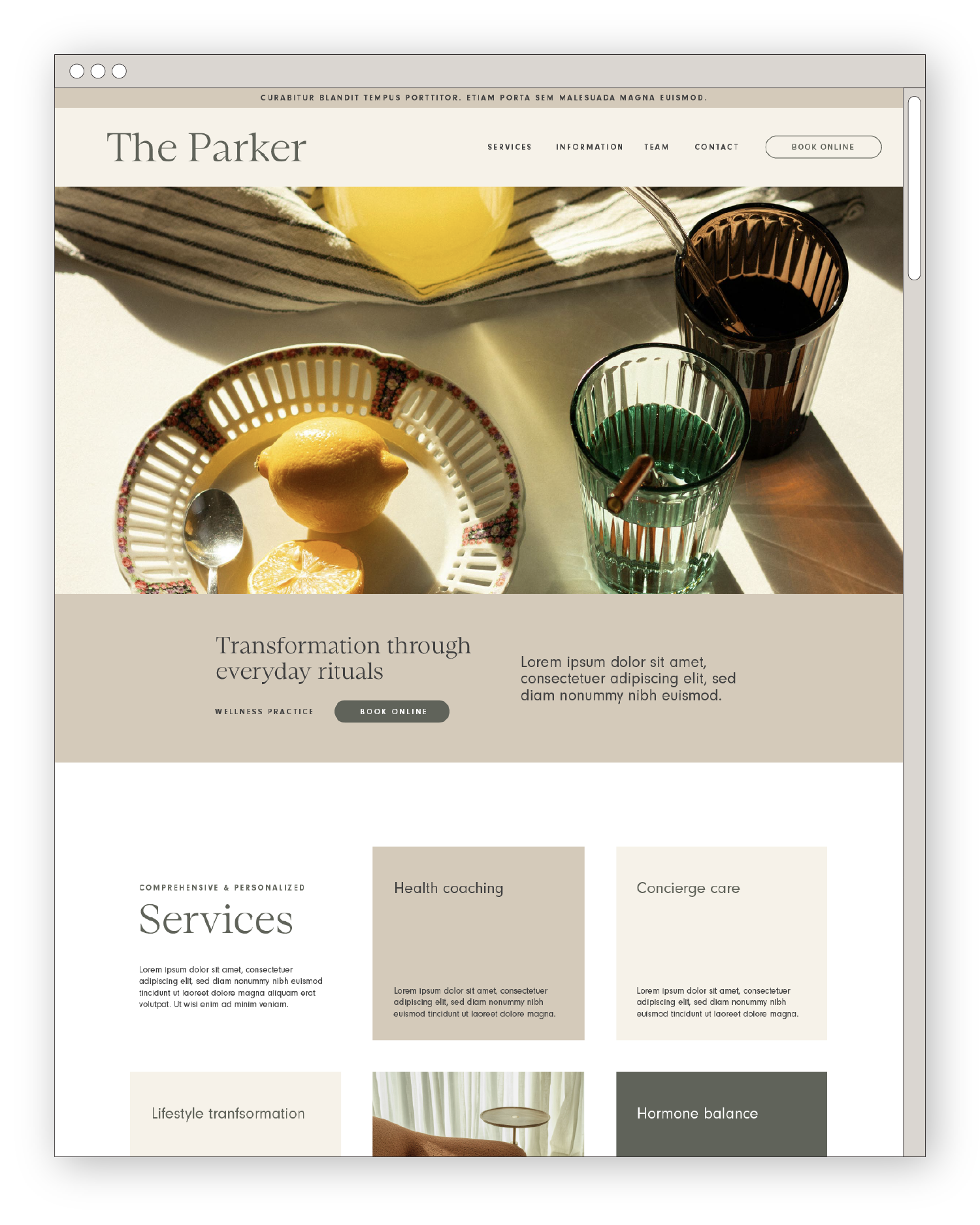 The Parker desktop version