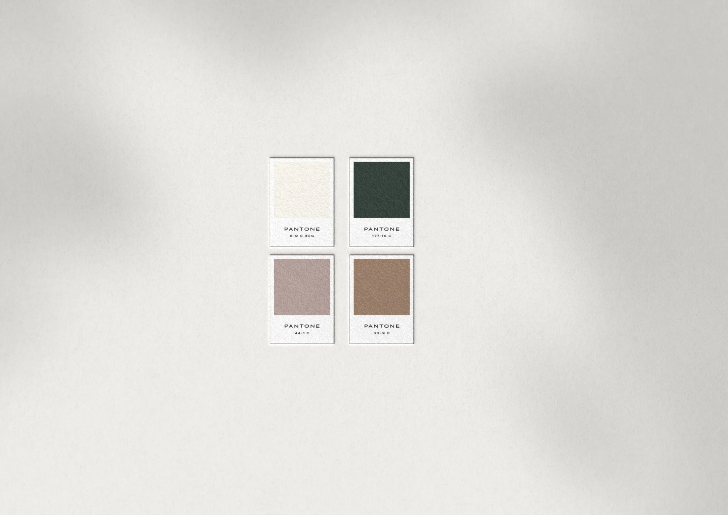 medspa-branding-color-palette.jpg