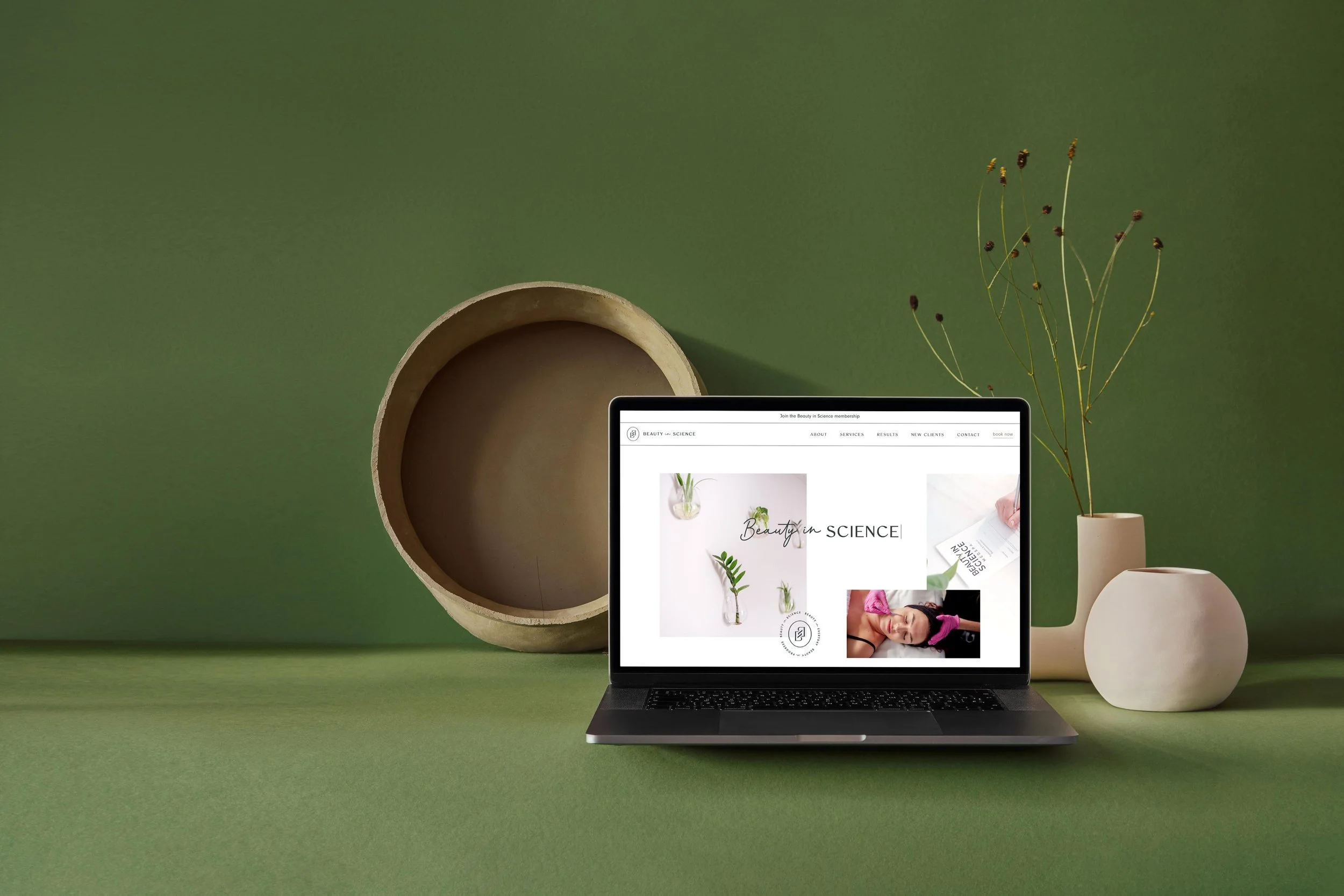 laptop displaying the Beauty in Science website homepage