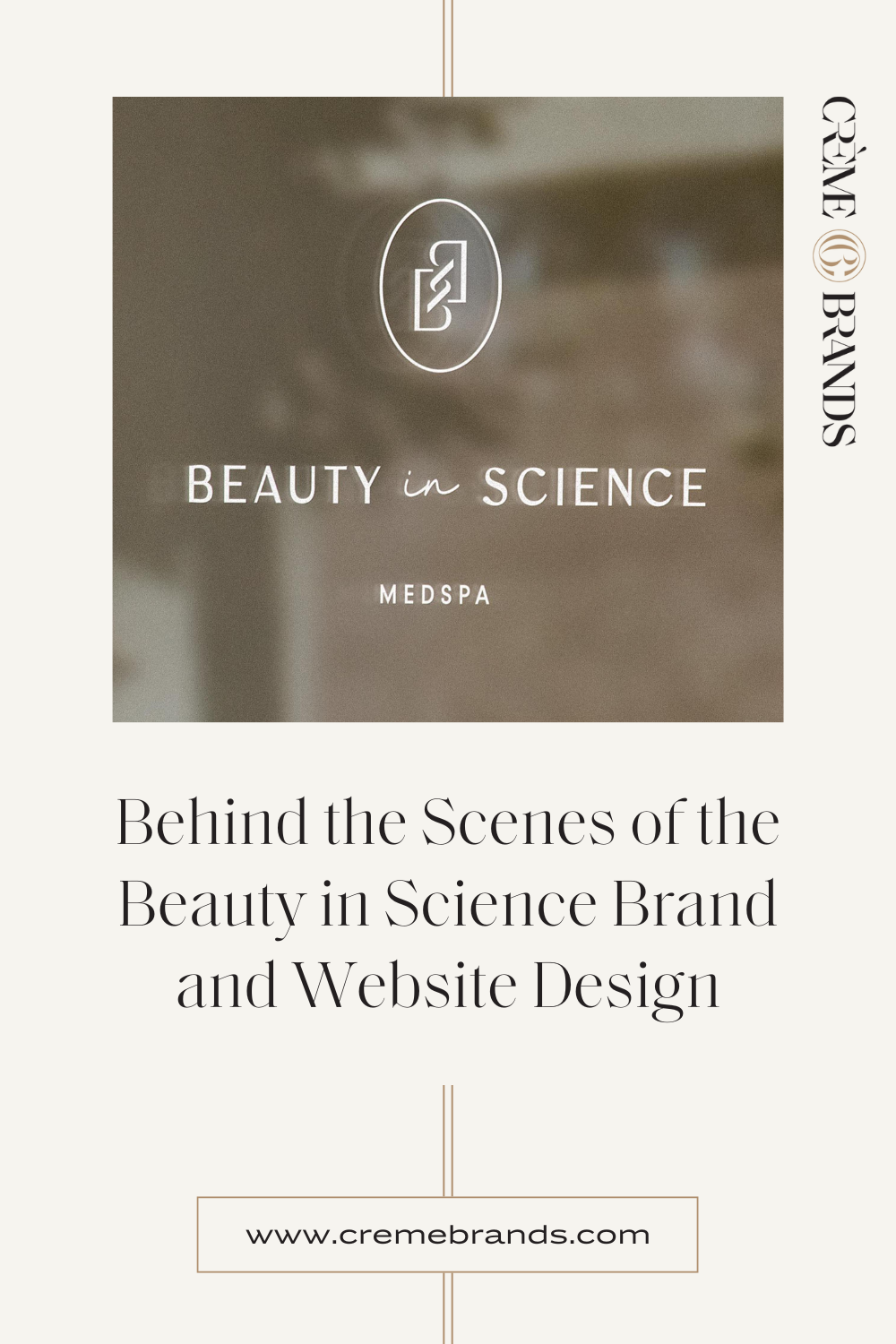 graphic displaying the blog post title and the Beauty in Science window sign