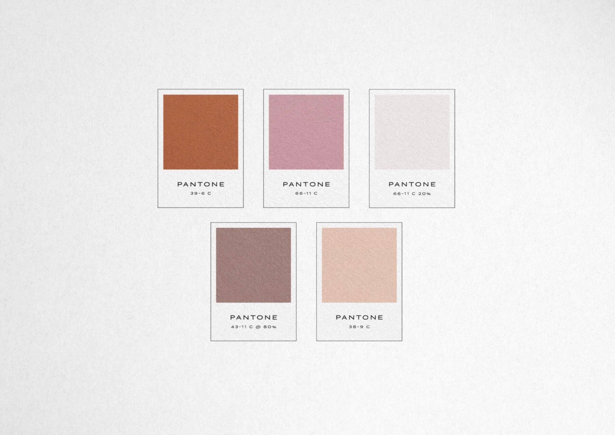 Beach Haven Color Palette.jpg