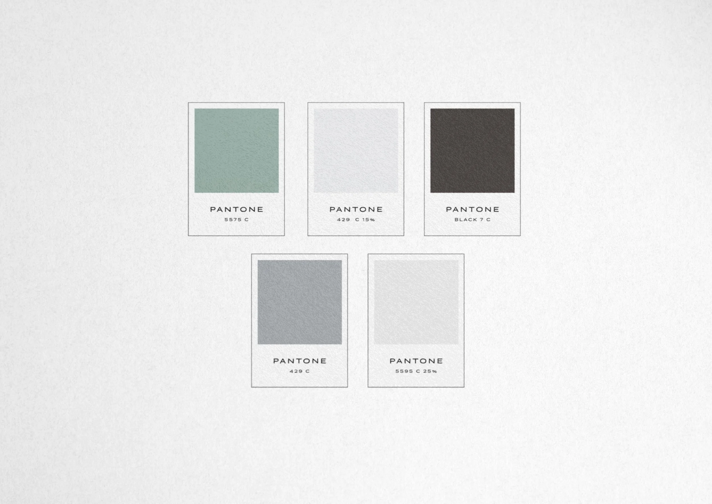 Vespa Los Angeles Color Palette.jpg