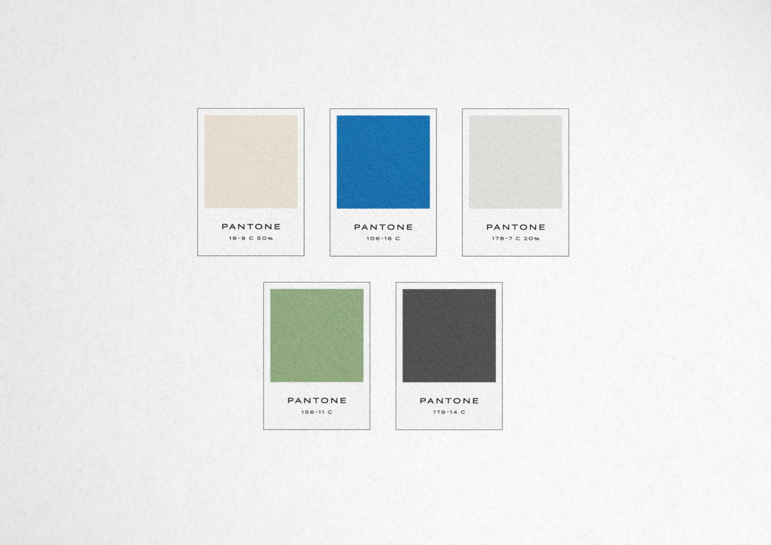 Roberts CPA Color Palette.jpg