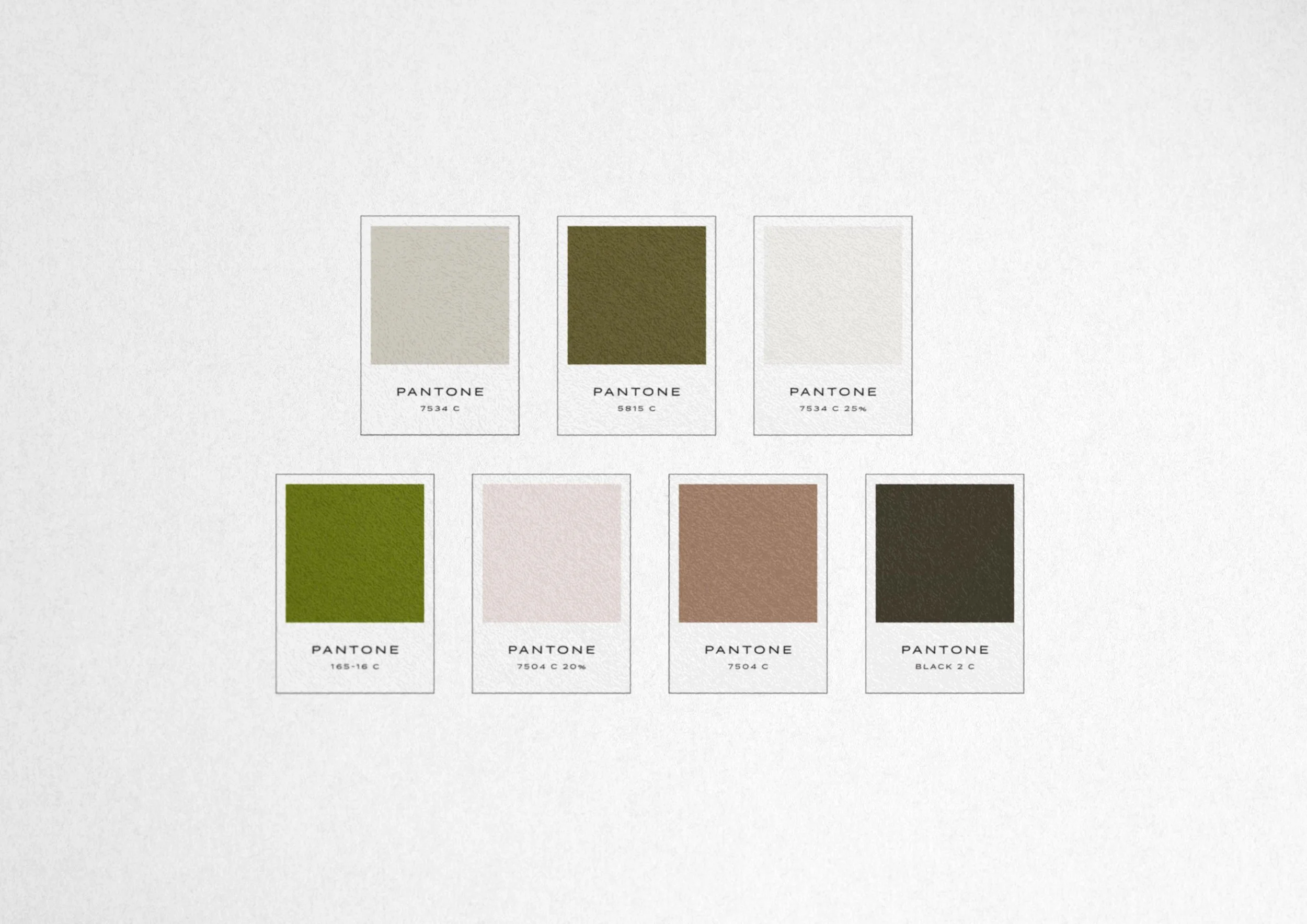 Serve and Savour Color Palette.jpg