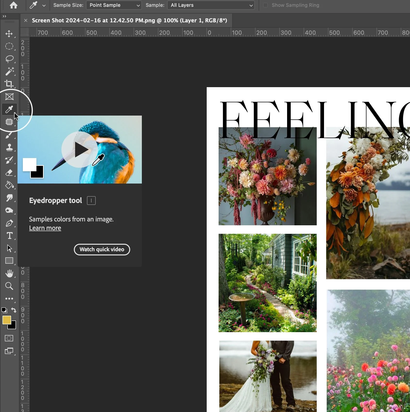 Tutorial Photo 1.jpg
