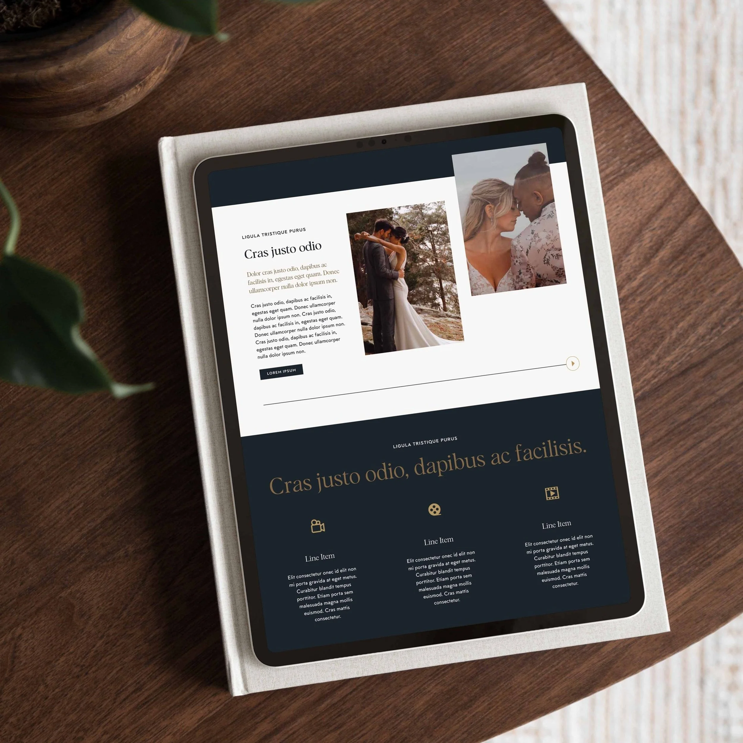 website homepage design