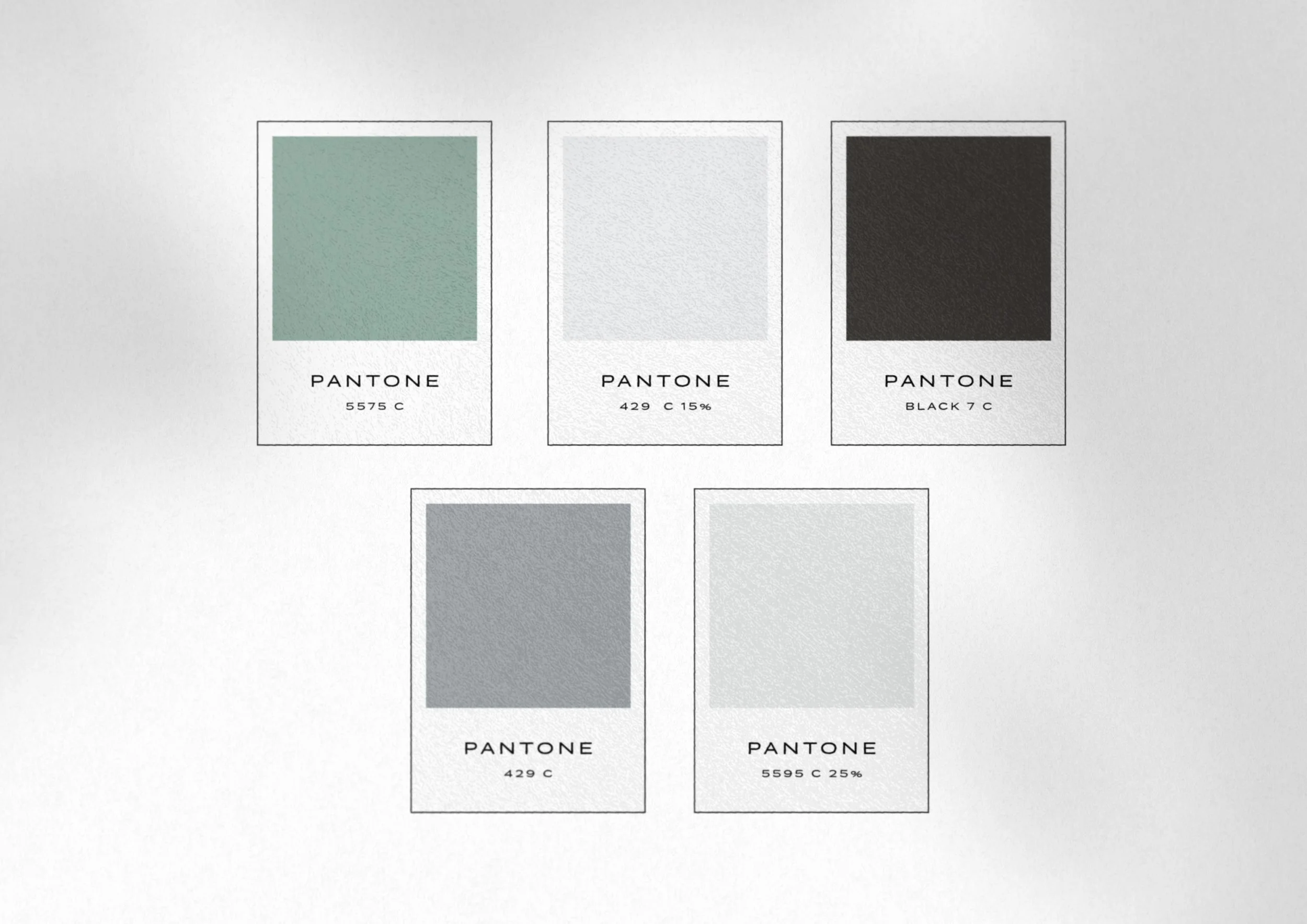 color palette with five swatches: deep seafoam green, three shades of cool gray, and rich black