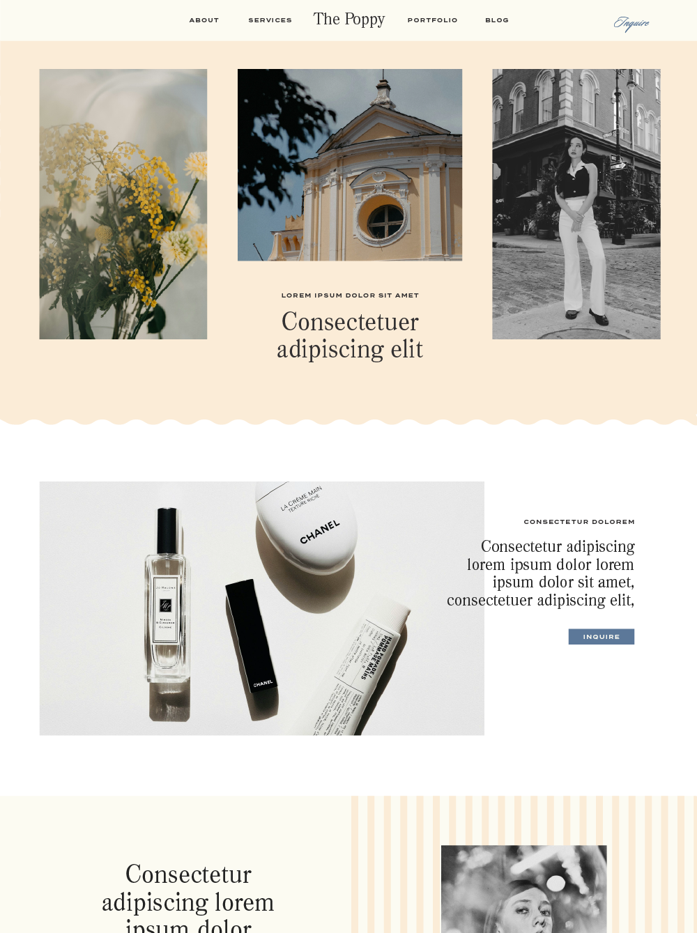 The Poppy website design framework