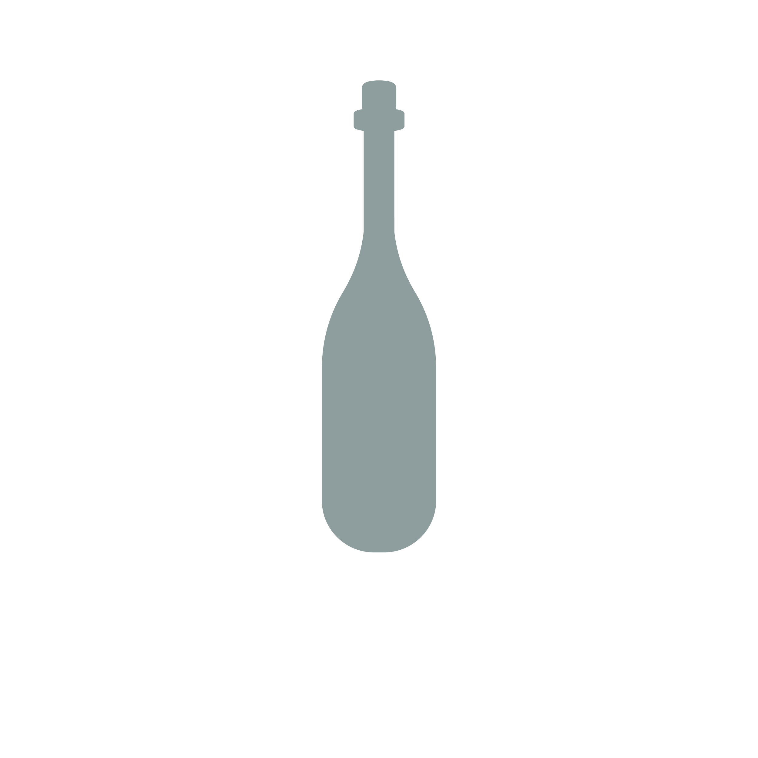 champagne bottle icon