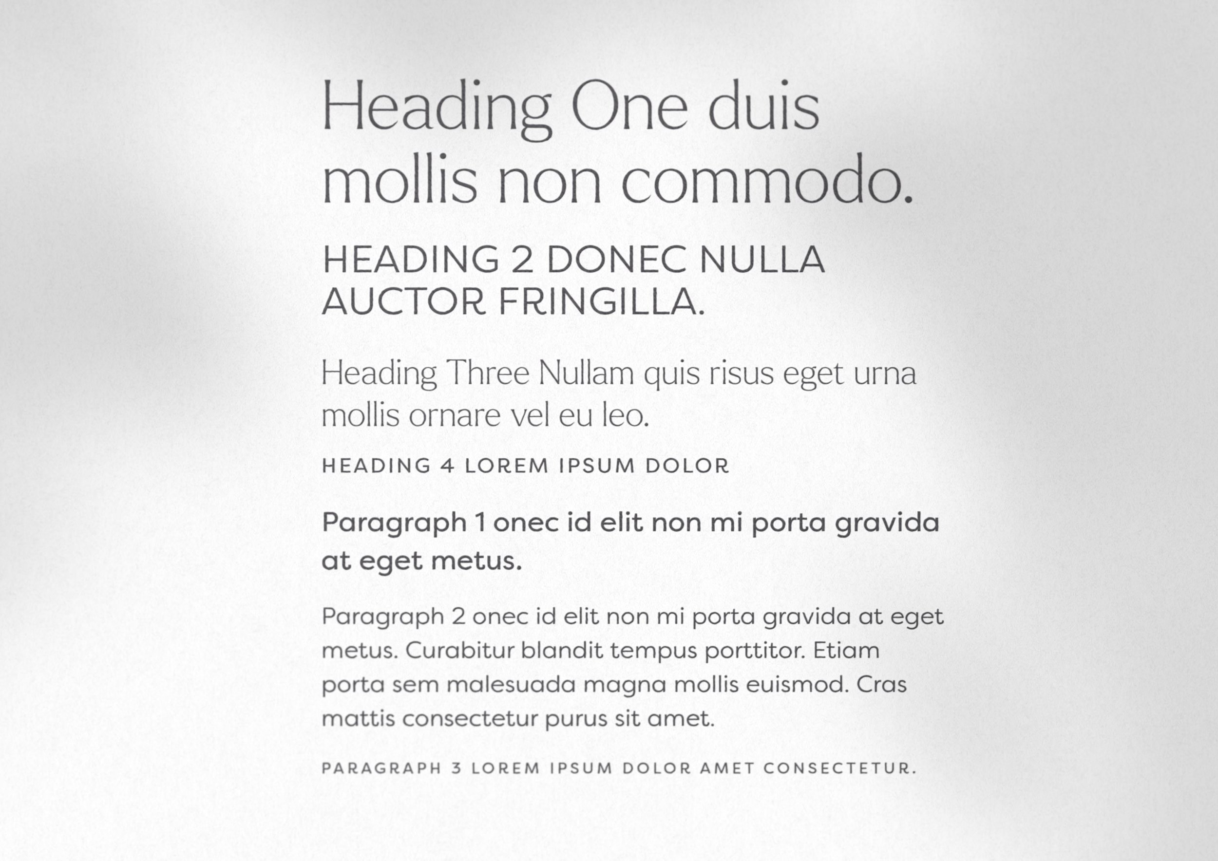 typgography hierarchy with heading and paragraph styles featuring a combination of high-end and professional fonts