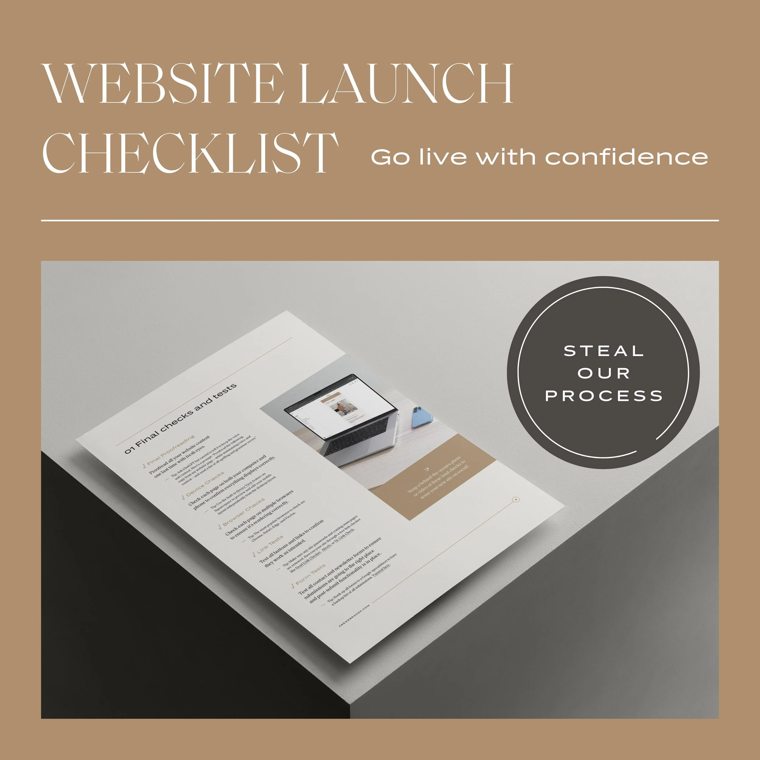 freebie graphic with a mockup of a page in the guide and text that reads, "Website Launch Checklist: Steal our process to go live with confidence"