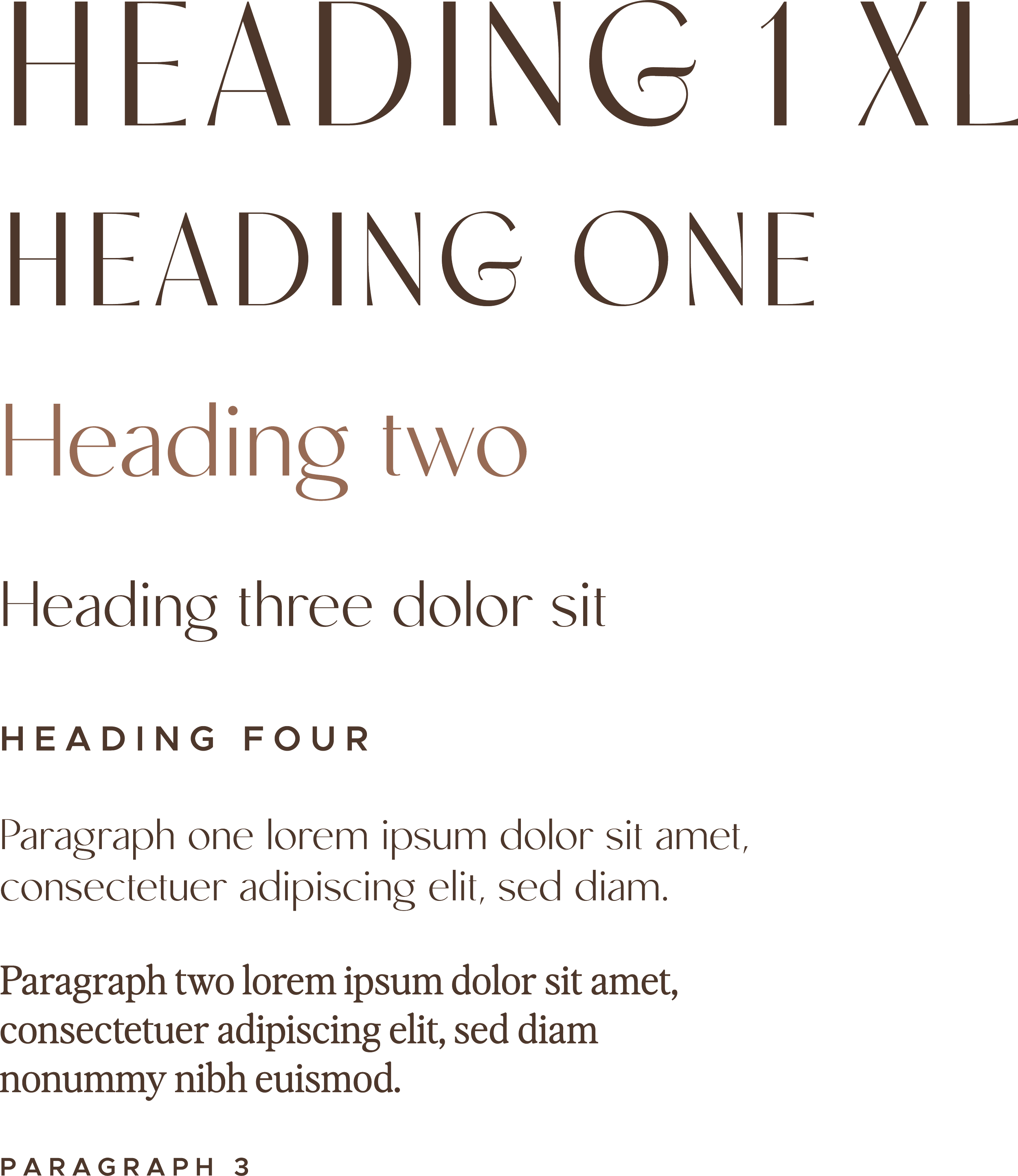 typography hierarchy with heading and paragraph styles