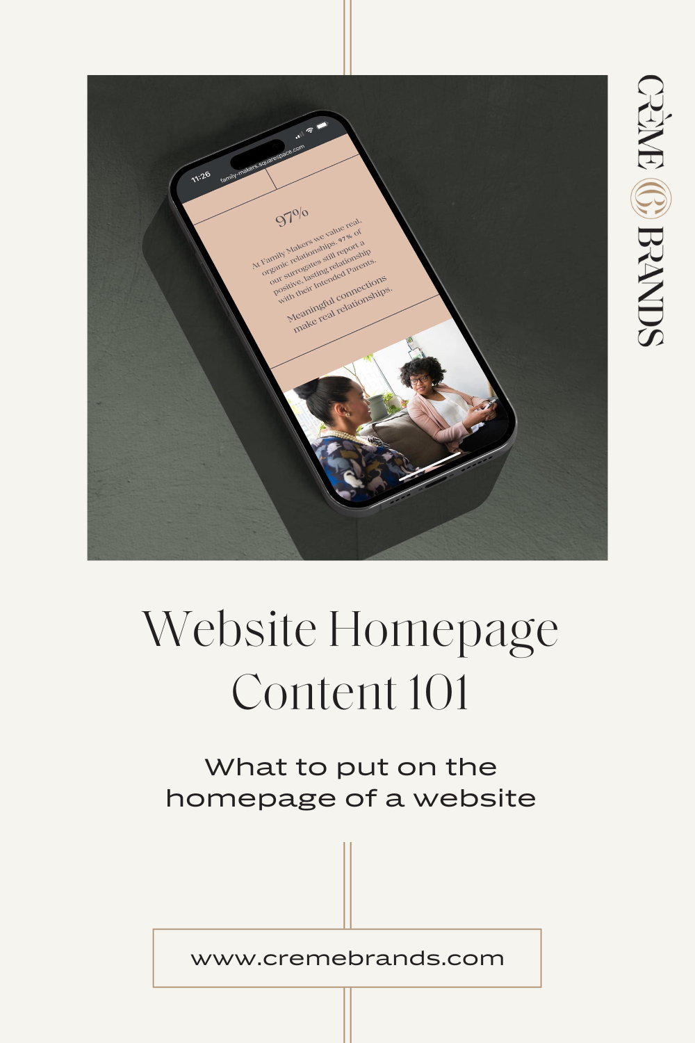 Website Homepage Content 101 pinnable graphic