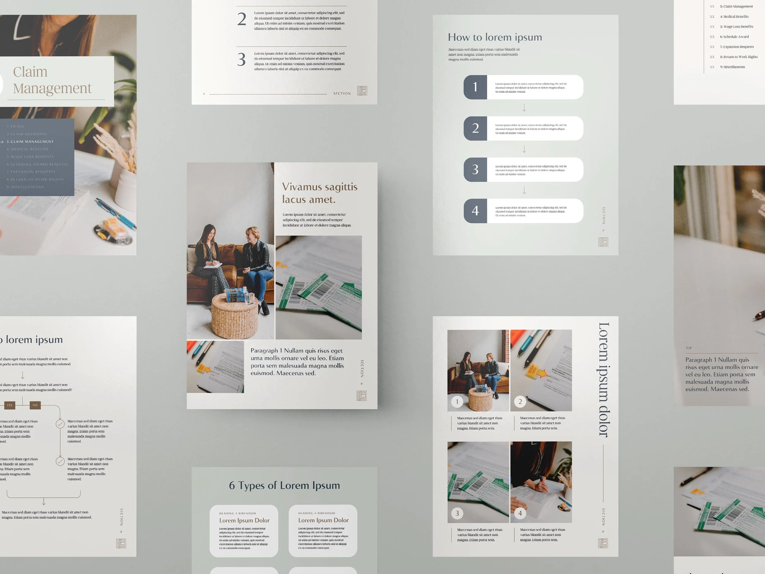 mockup of pages from Faliero Law Firm's eBook