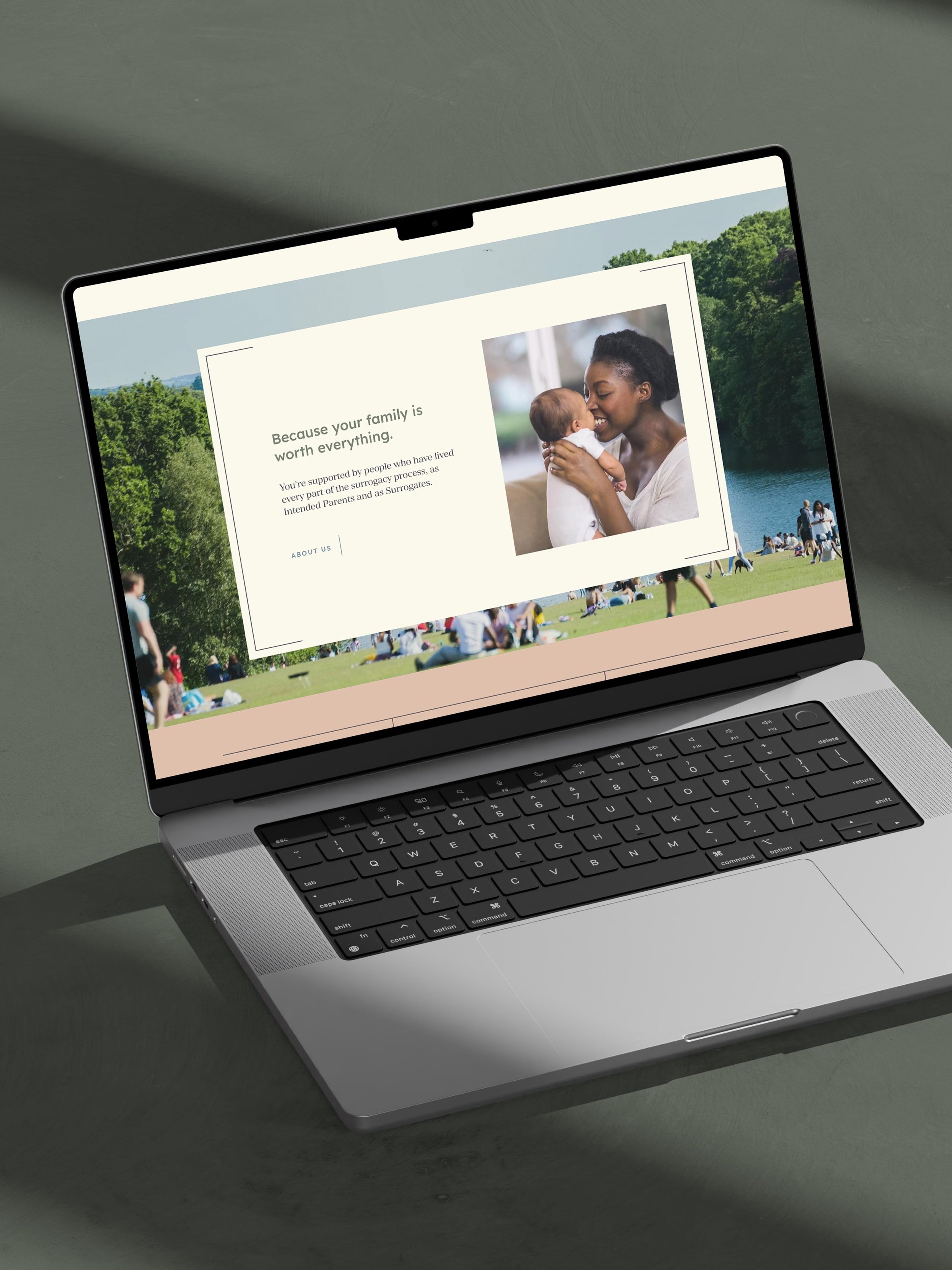 laptop showing Surrogates info page after