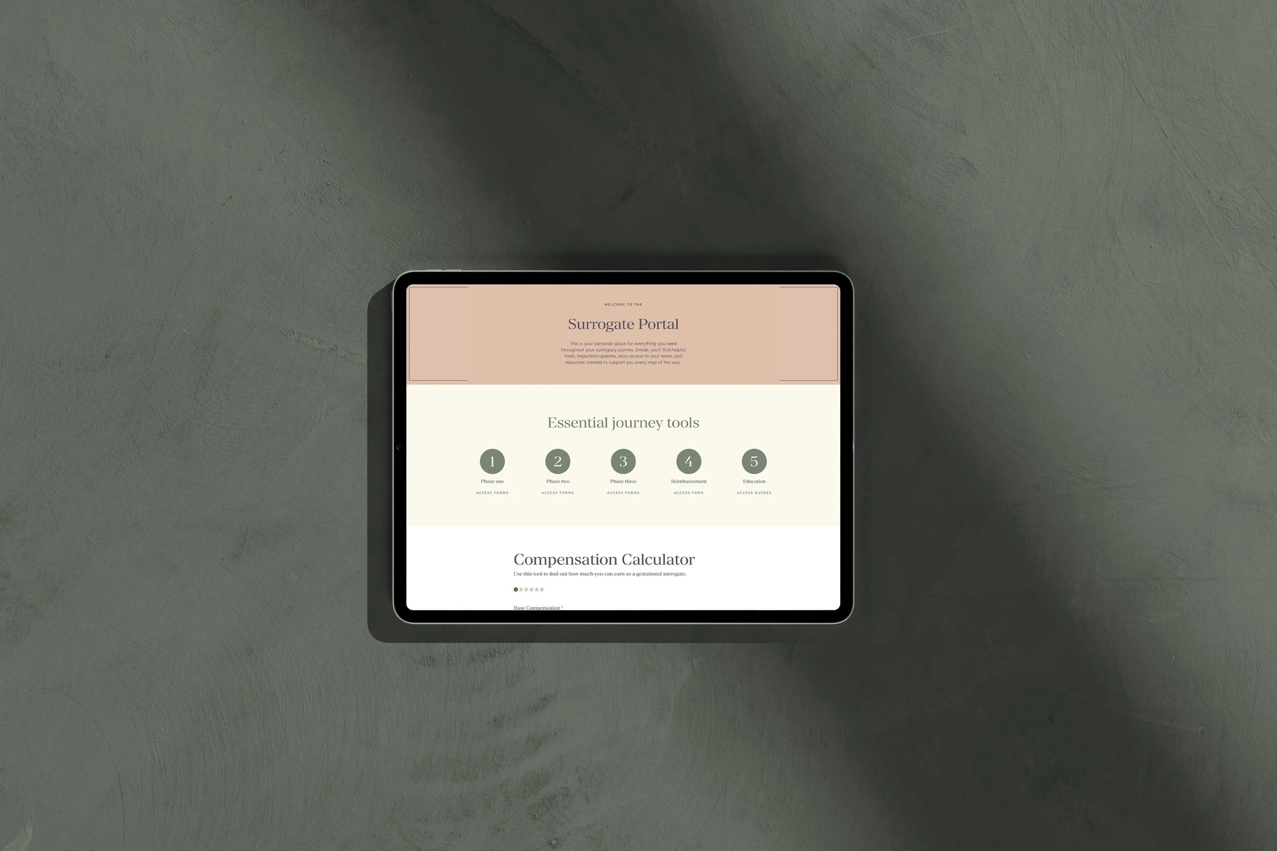 iPad showing the password-protected portal