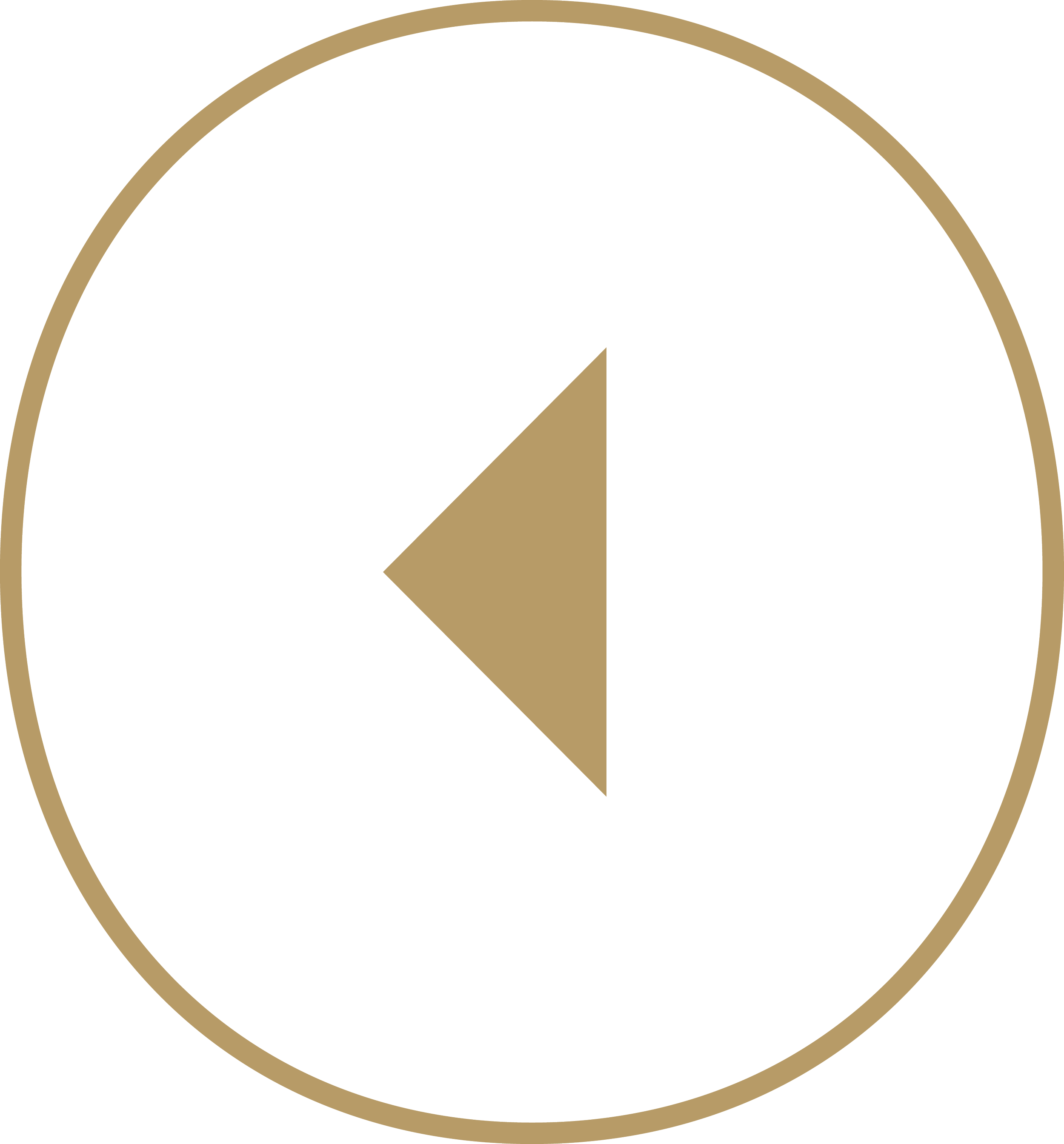 backwards play button icon