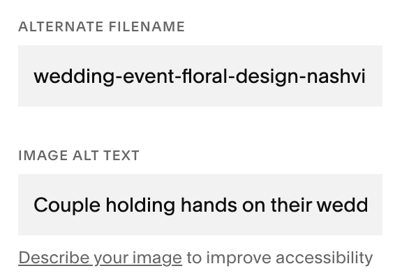 screenshot of SEO image settings in the Squarespace backend