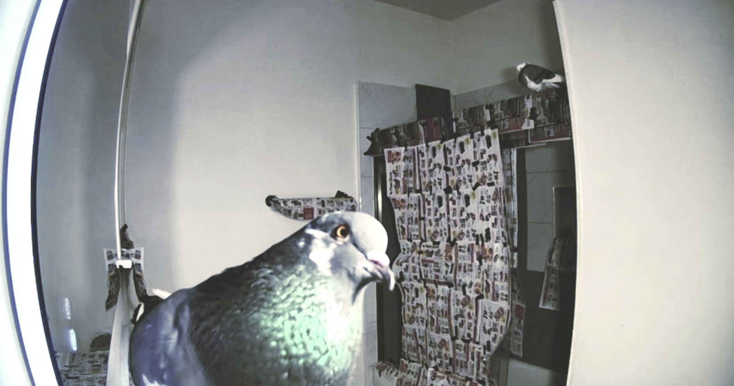 Screenshot 2025-09-24 124140.png