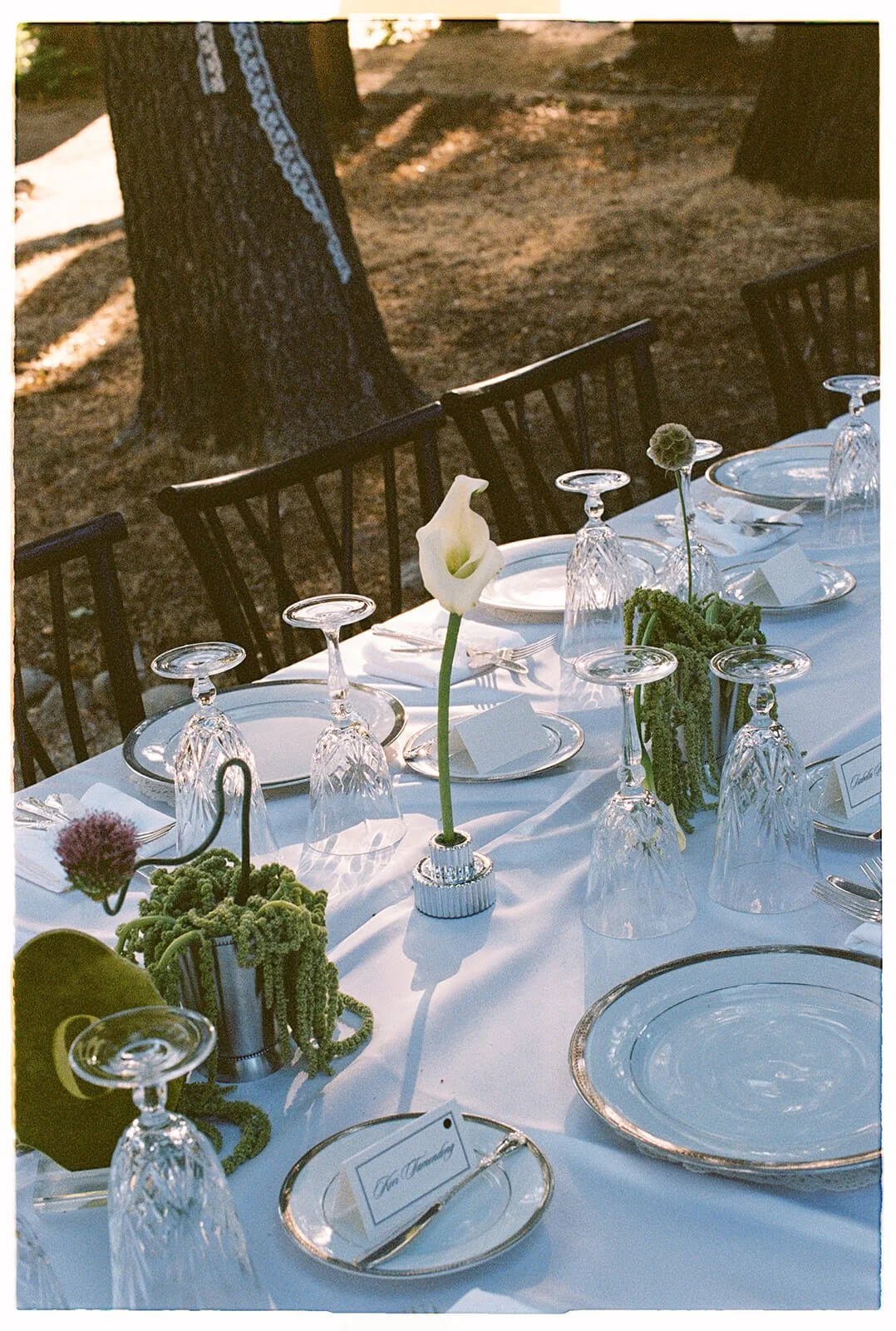 25-santa-ynez-valley-zaca-lake-wedding-laine-palm-minneapolis-event-planner-alanna-durkee-photography.jpg