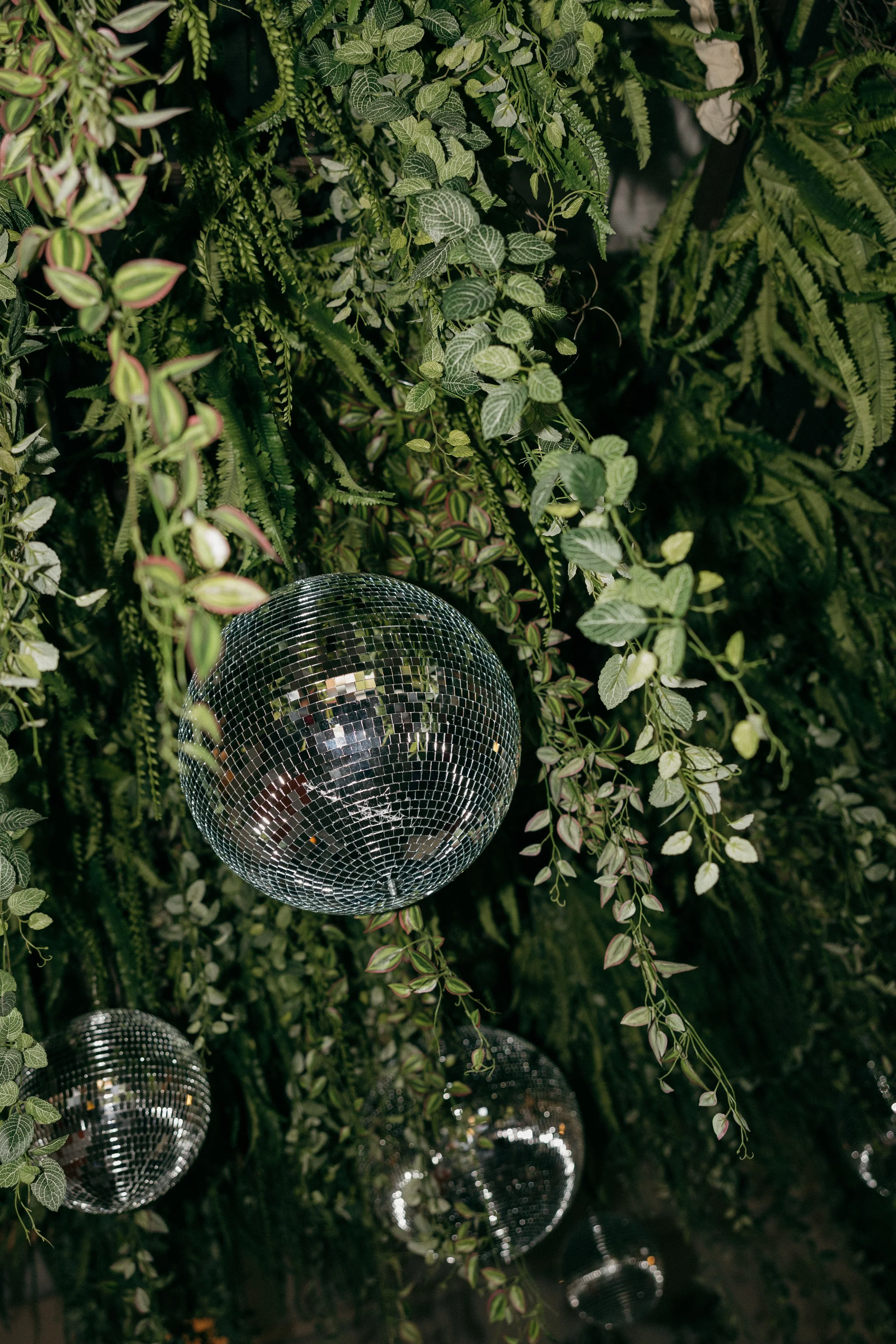 disco-ball-urban-daisy-laine-palm.jpg