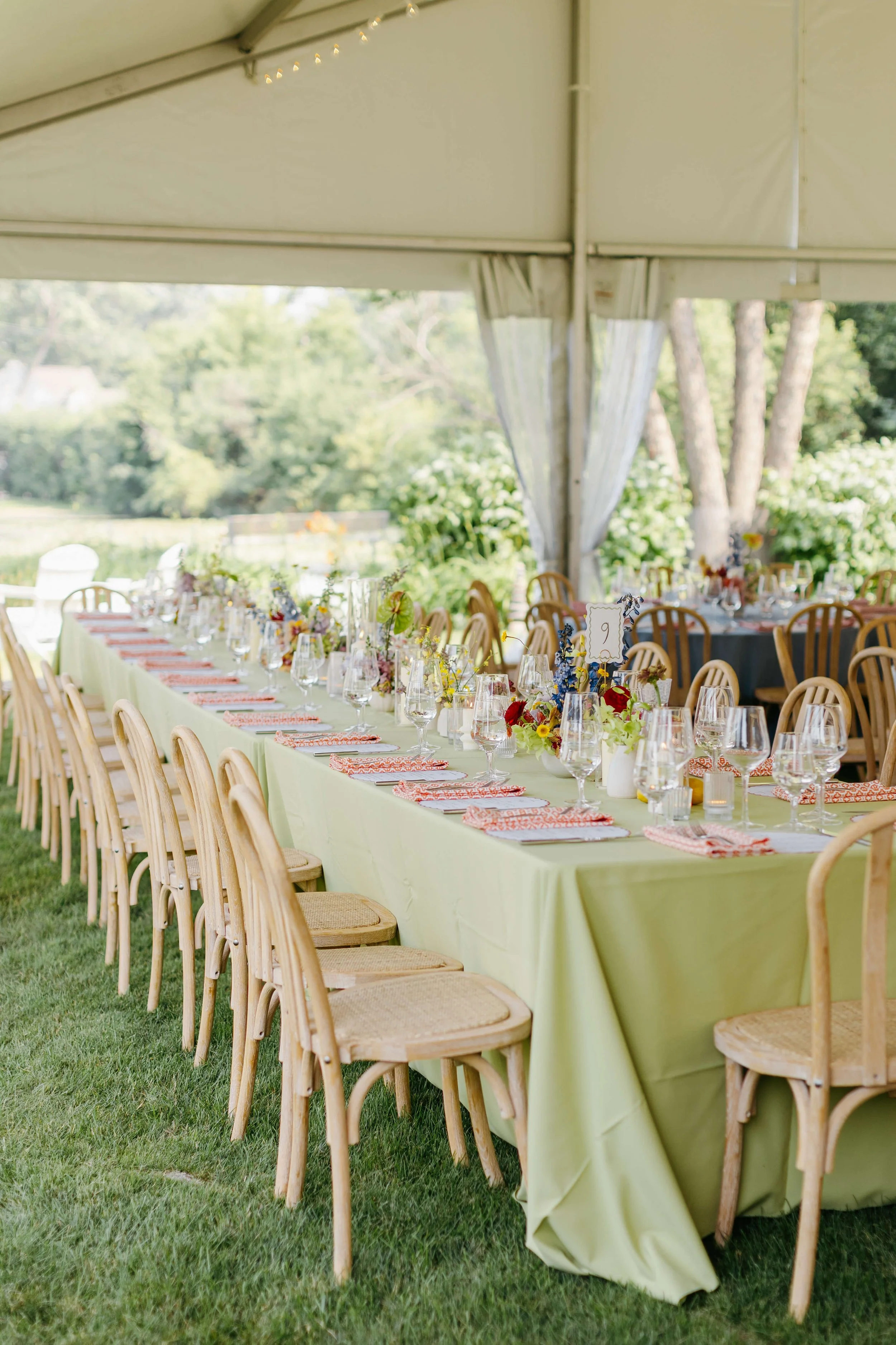 37-summer-lakeside-minnesota-wedding-laine-palm-minneapolis-event-planner-hael-photography.jpg