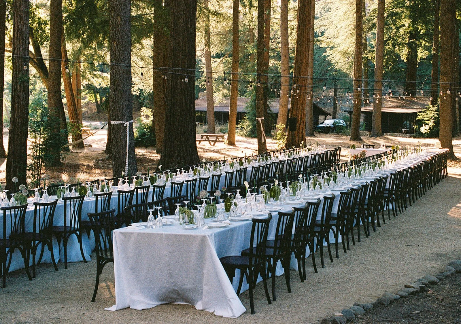 24-santa-ynez-valley-zaca-lake-wedding-laine-palm-minneapolis-event-planner-alanna-durkee-photography.jpg