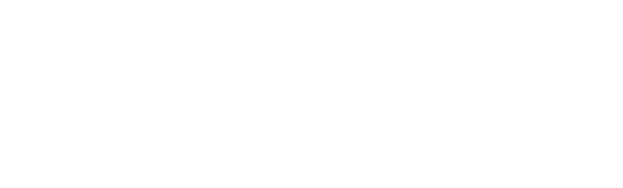 Laine Palm Event Planning + Design