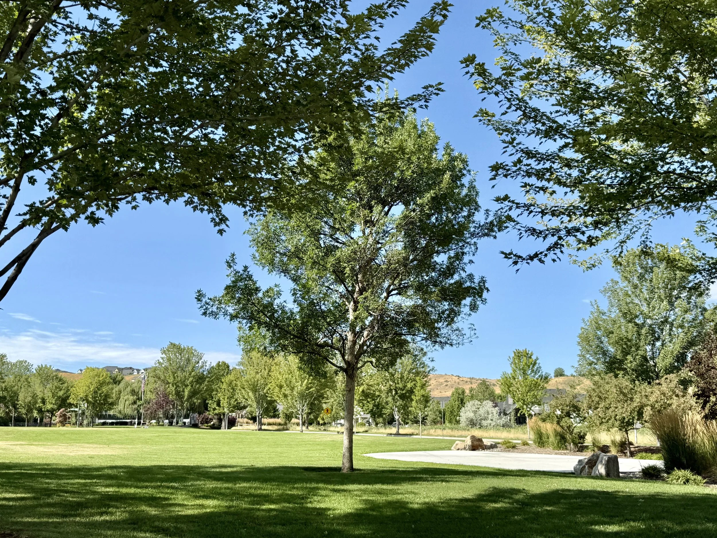 Community Amphitheater