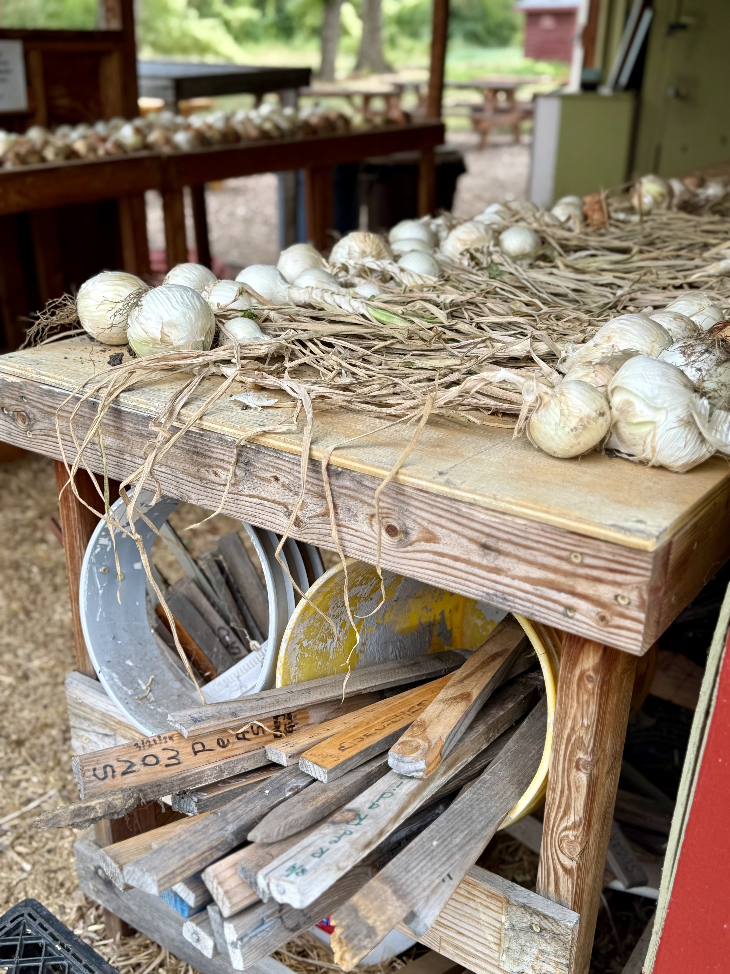 Community Organic Garden & Farm