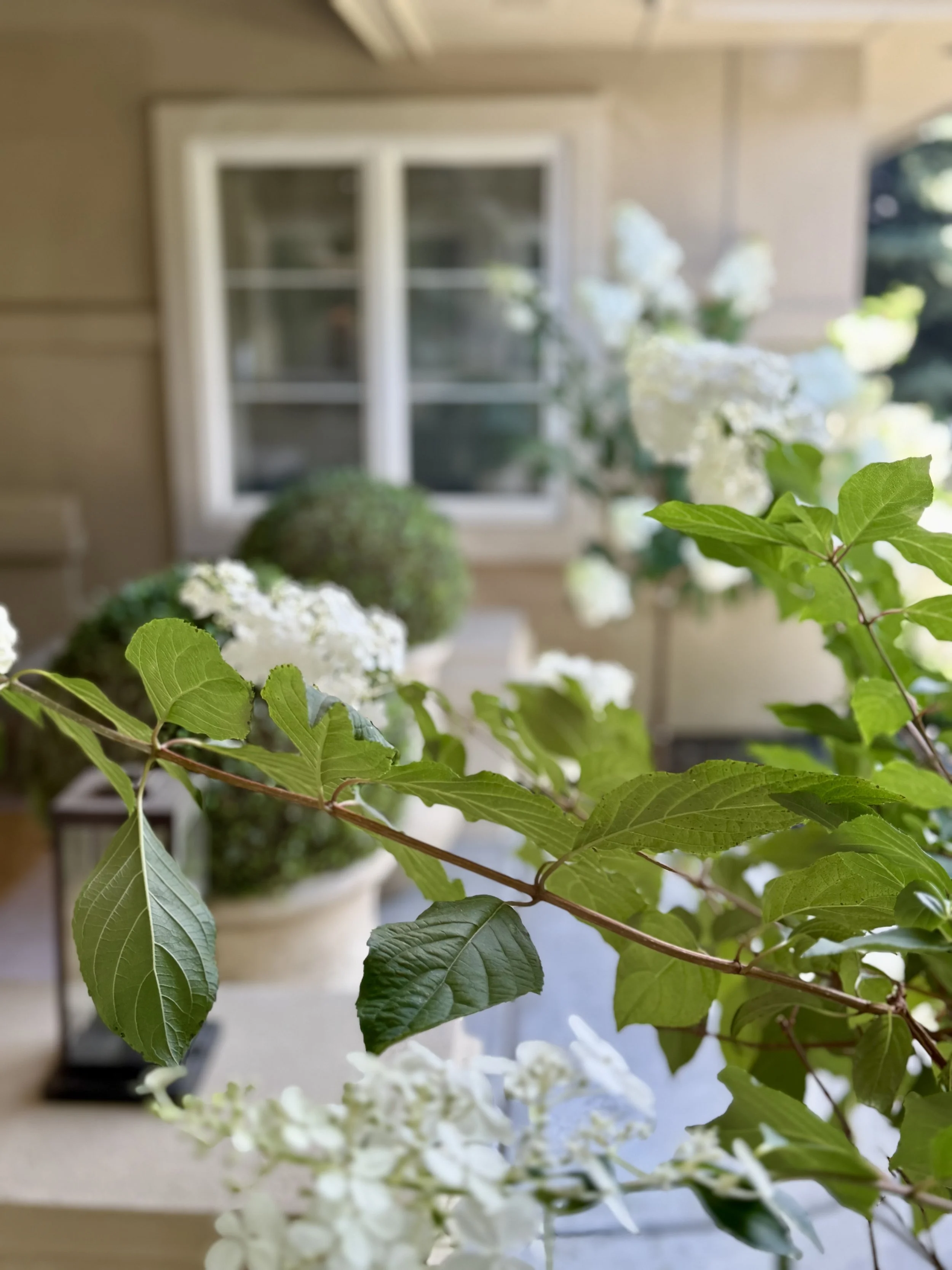 Front - Oversized Covered and Private Front Porch