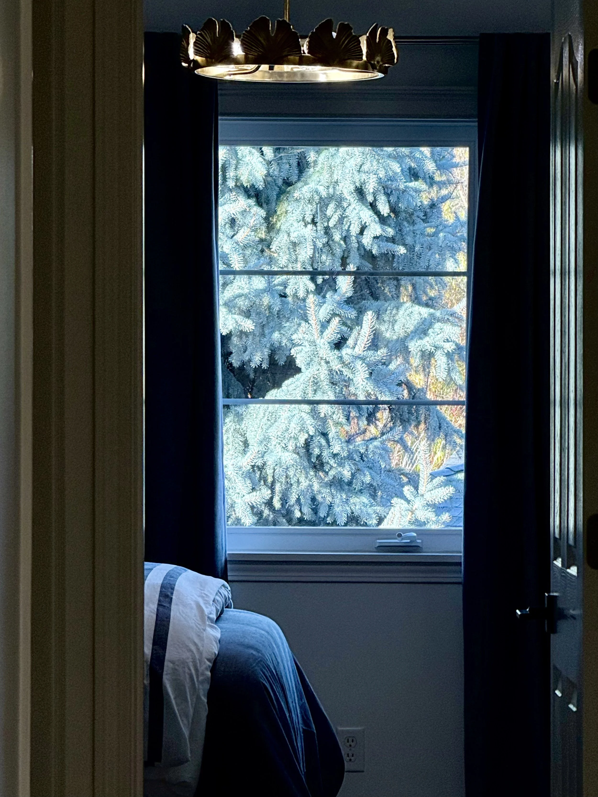 Upstairs - Bedroom 3 - Every Window Looks at Trees...