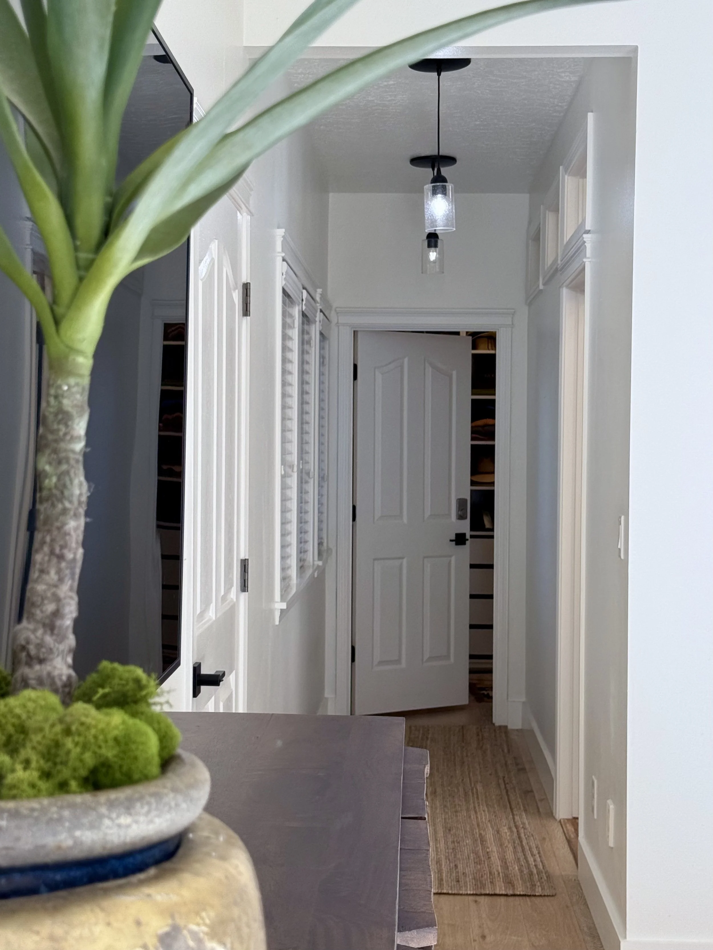 Ground Floor - Primary Bedroom - Hallway to Bathroom and Walk-in Closet