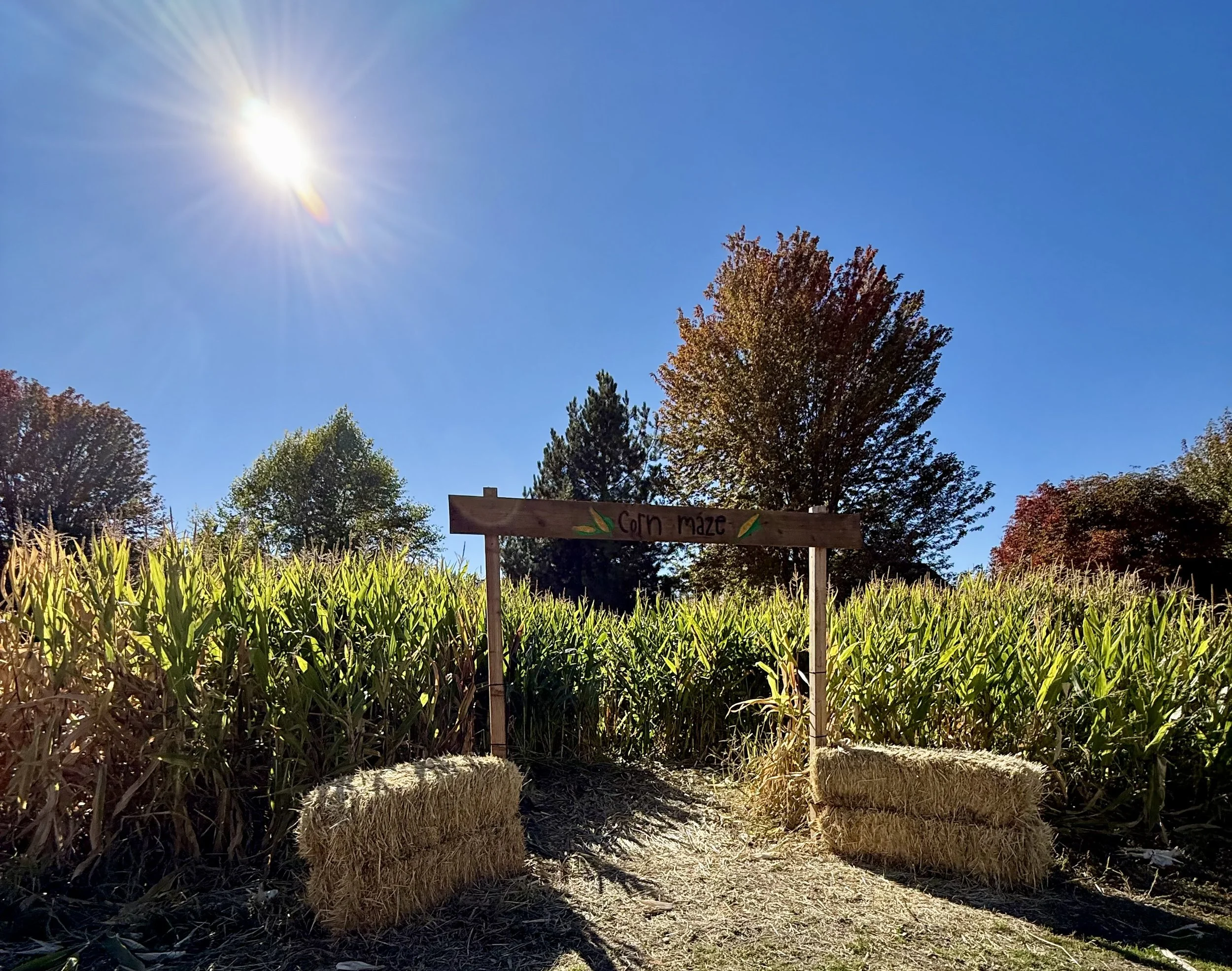 Community Organic Garden & Farm
