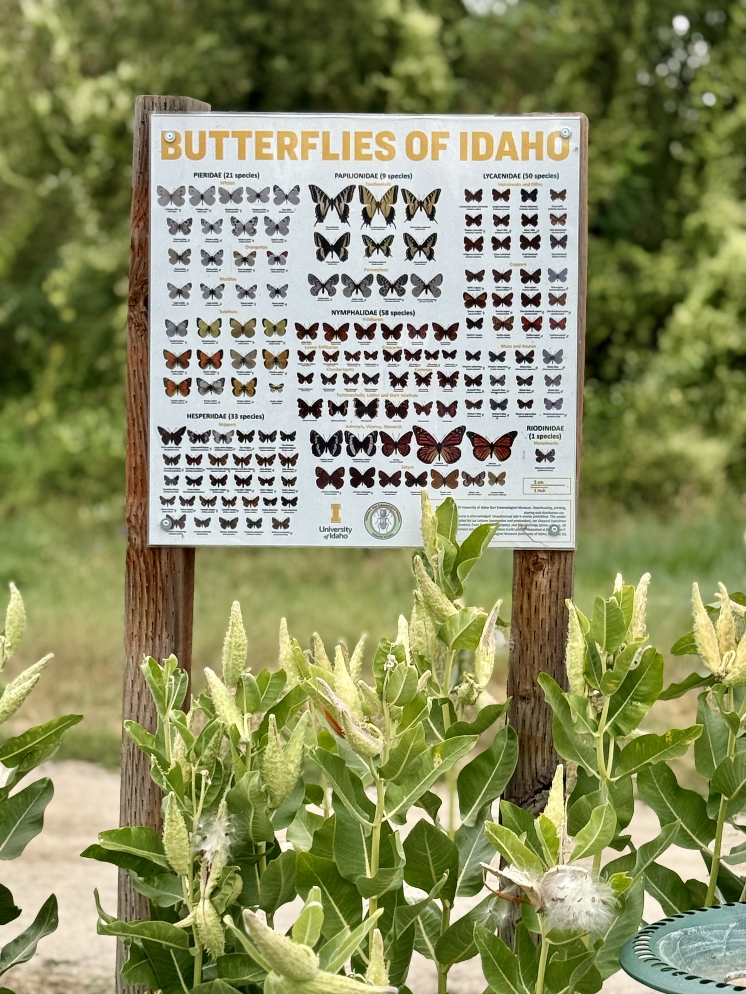Community Organic Garden & Farm