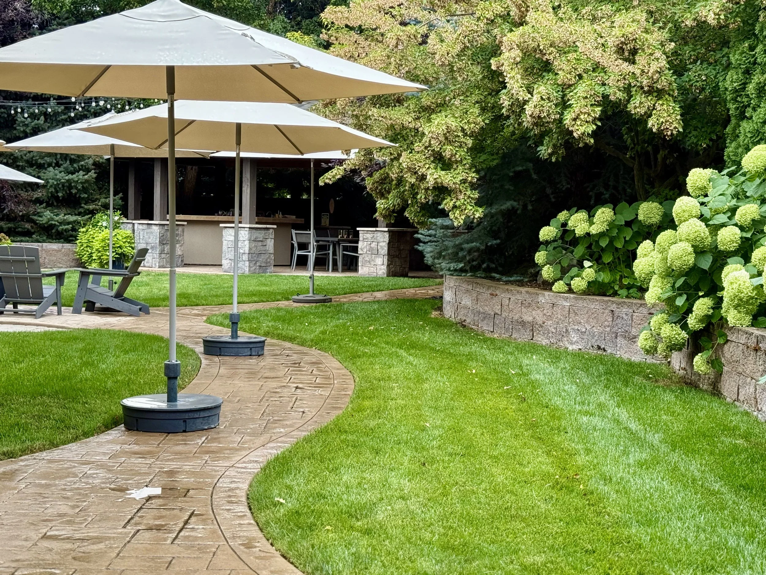 Backyard - All Grass Areas Supported by Automated Irrigation