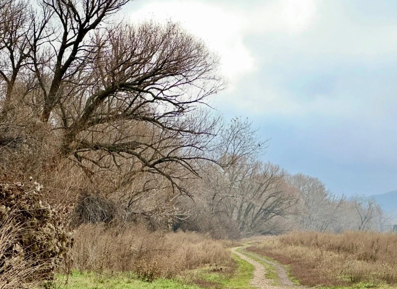Community Trail System
