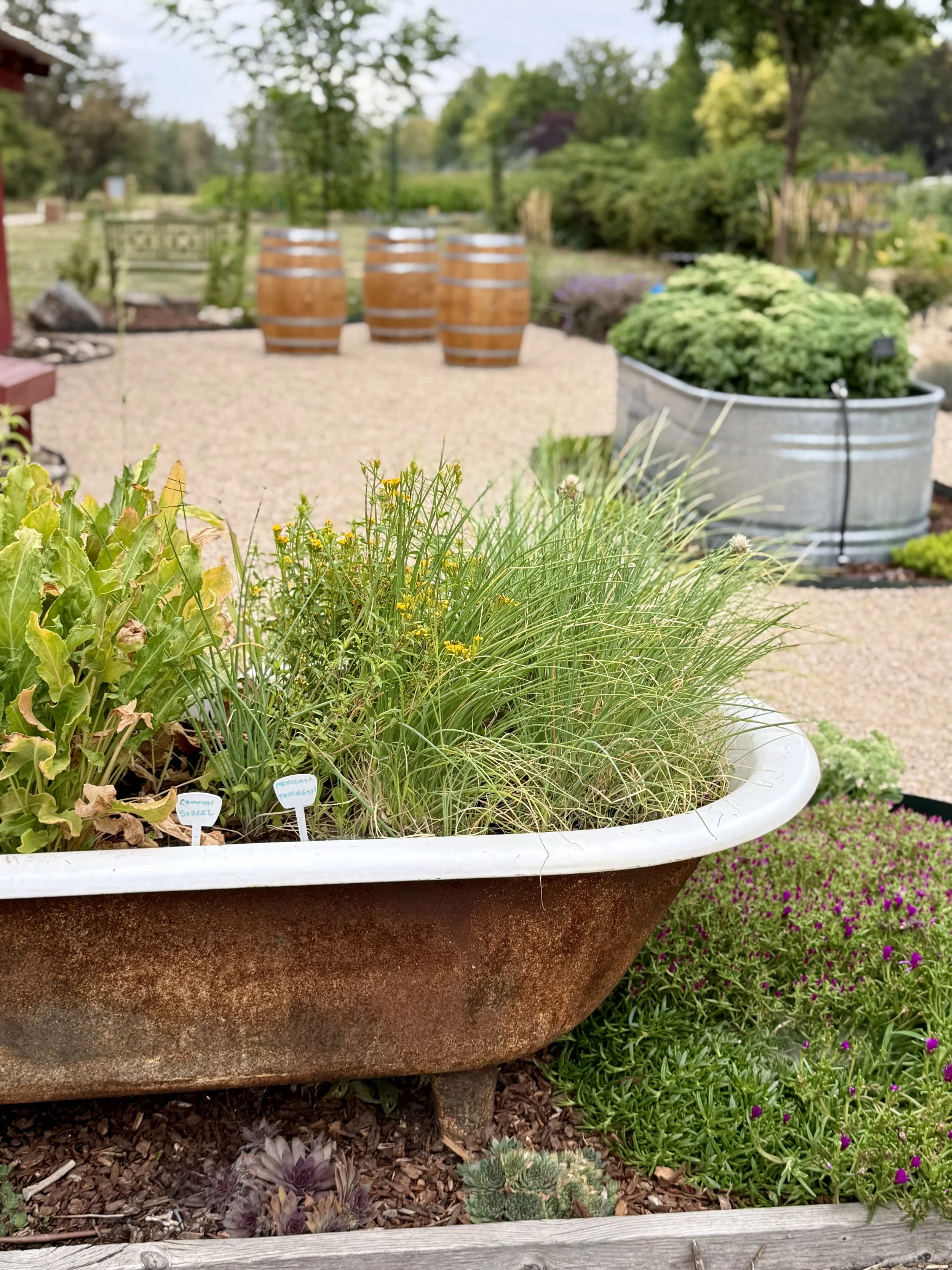 Community Organic Garden & Farm