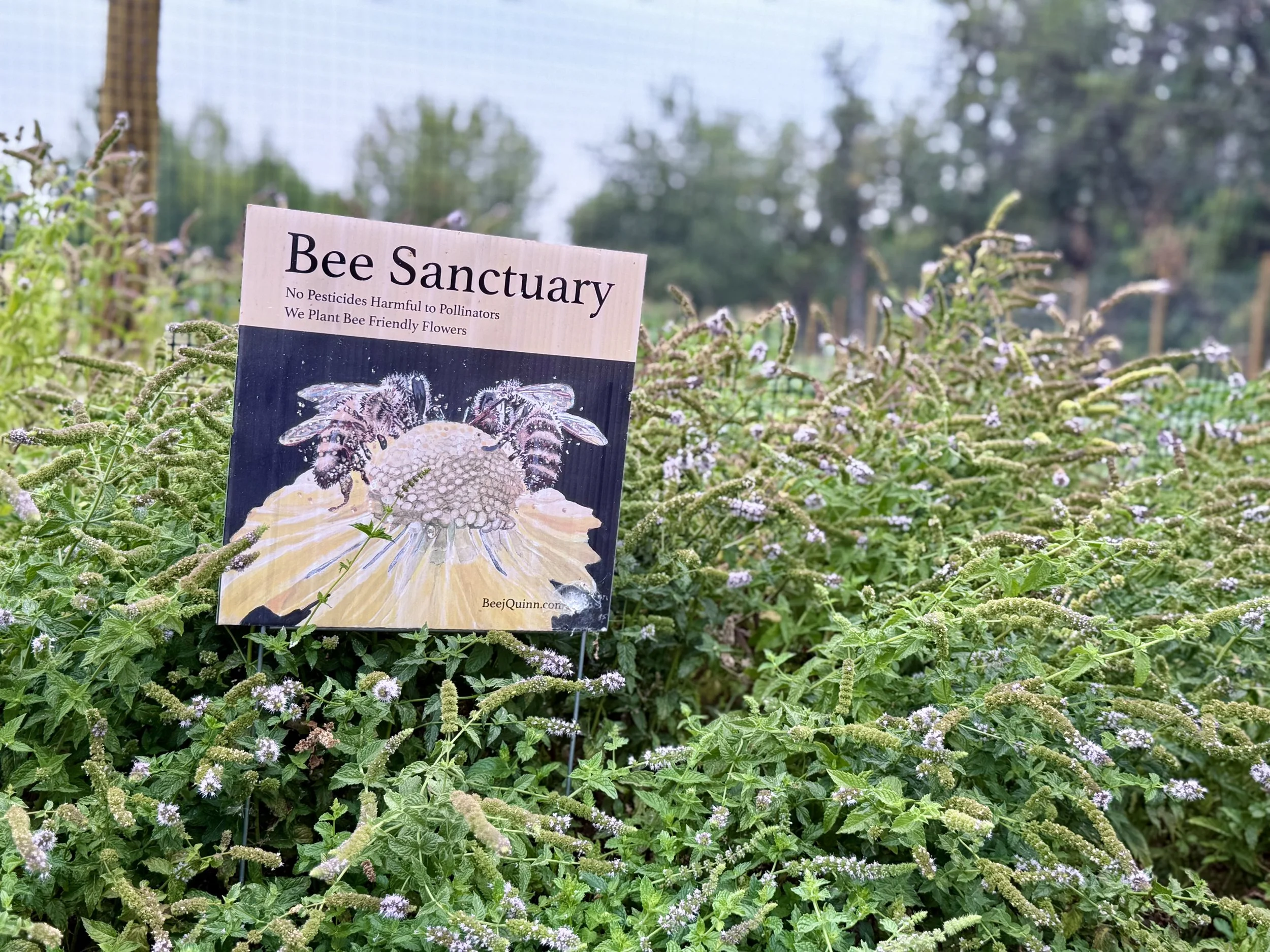 Community Organic Garden & Farm