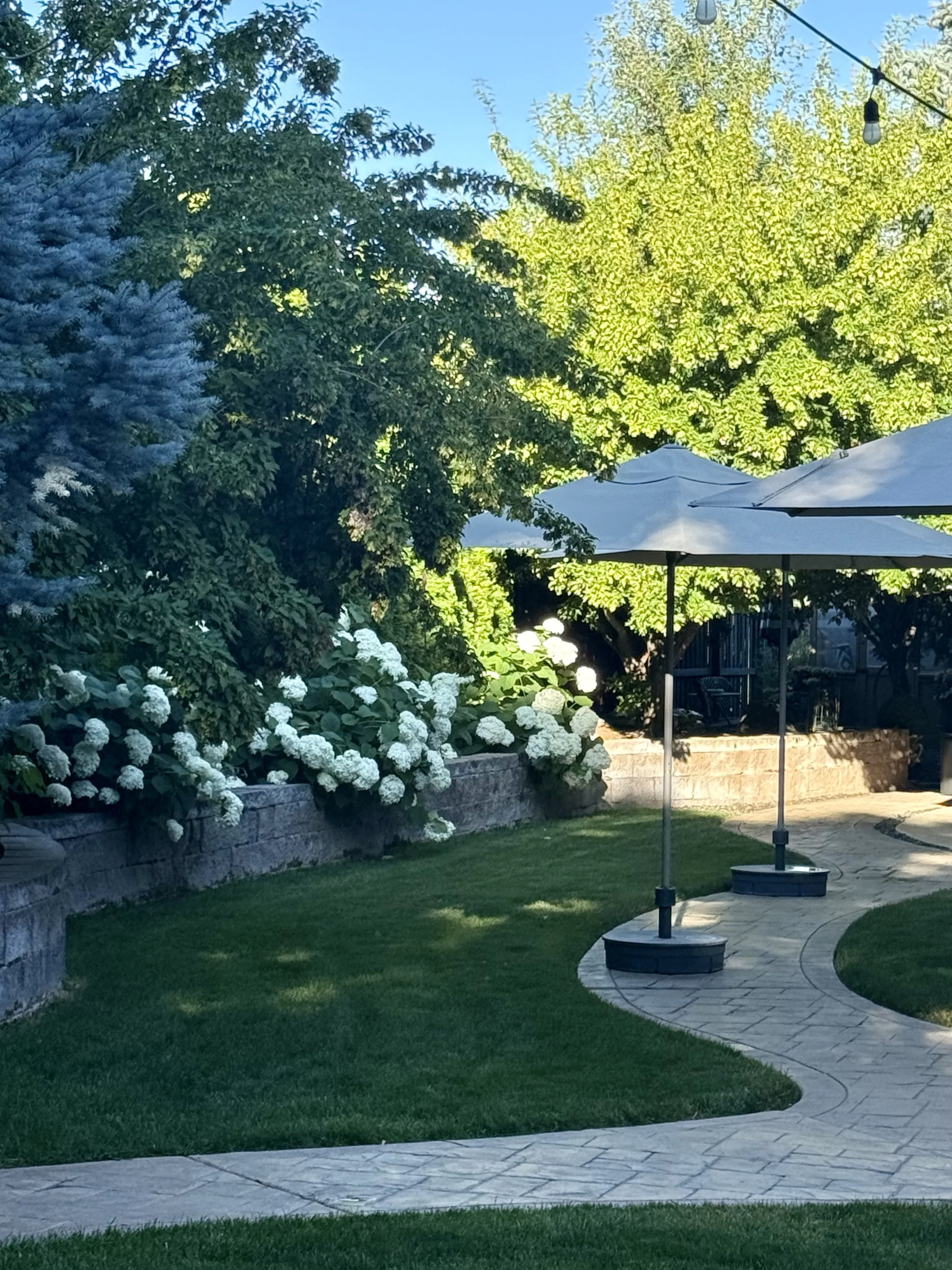 Backyard - Raised Tree and Flower Beds Supported by Automated Irrigation